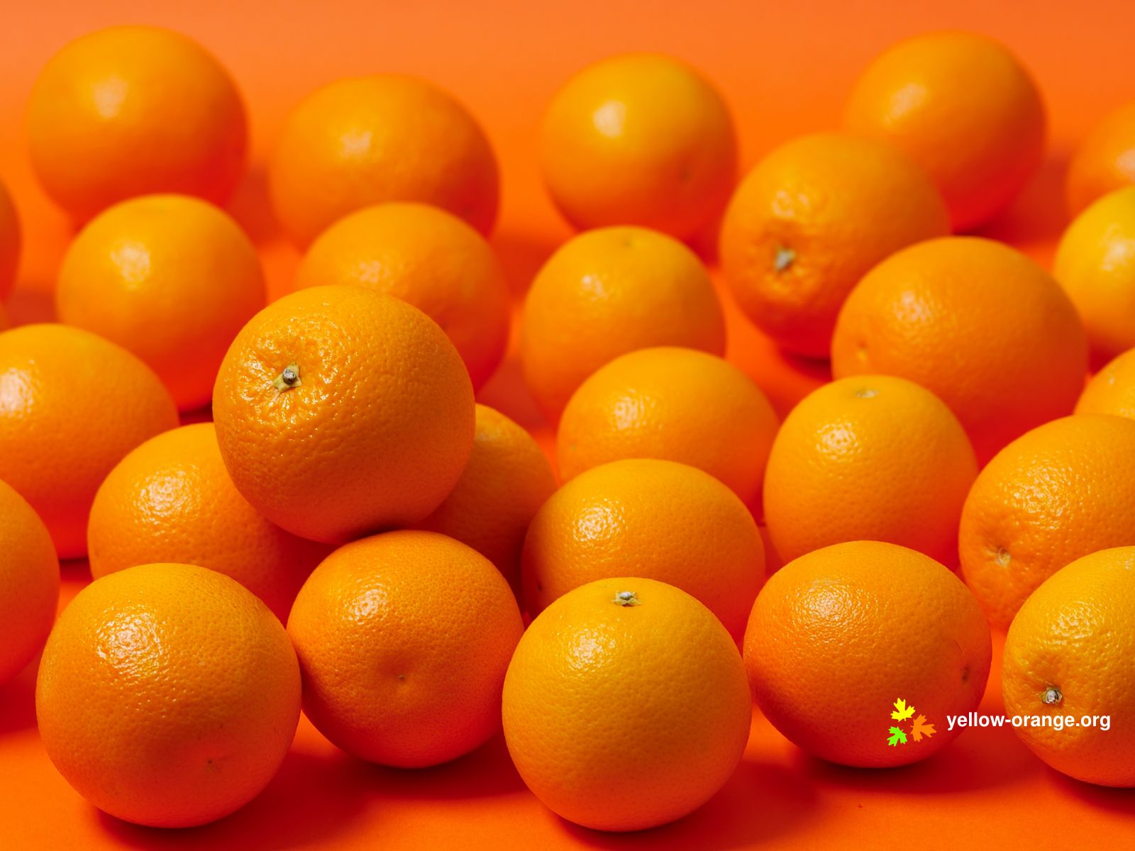 367382 free download Orange wallpapers for phone,  Orange images and screensavers for mobile