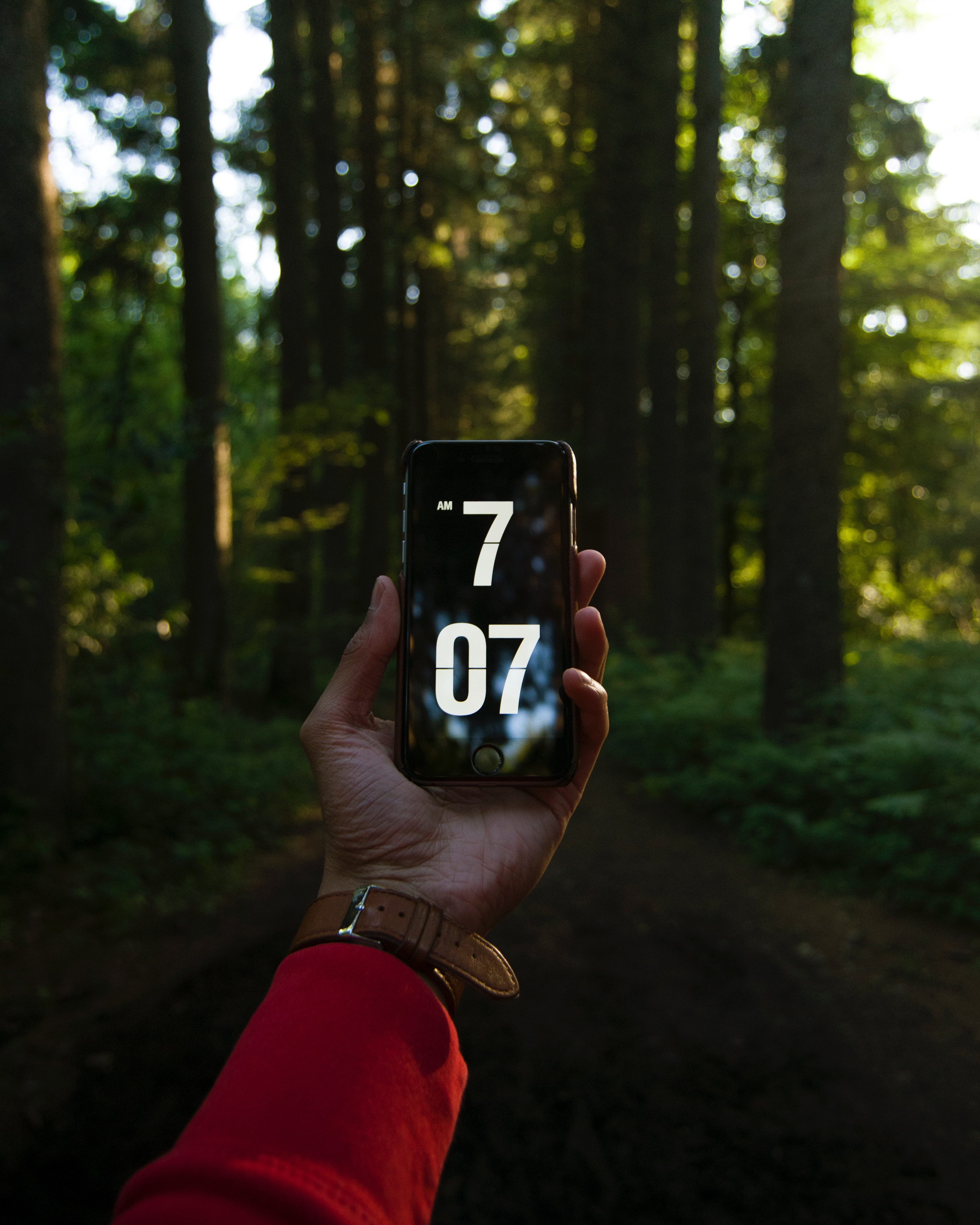 time, trees, hand, forest, technologies, technology, telephone, it's time mobile wallpaper