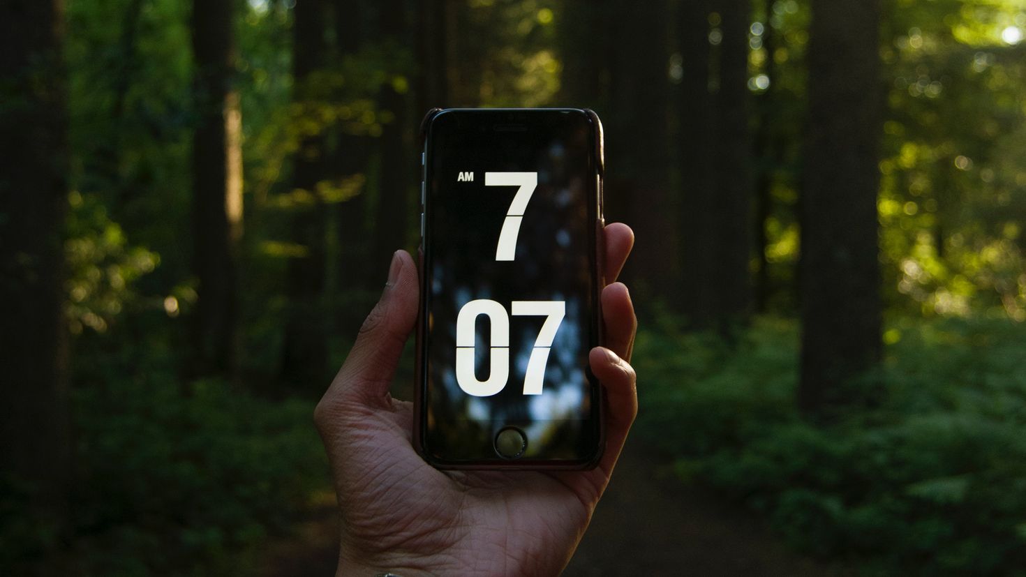 Добавь время на телефон. Телефон в лесу. Телефон в руке. Телефон в руке в лесу. Forest на телефон для учебы.