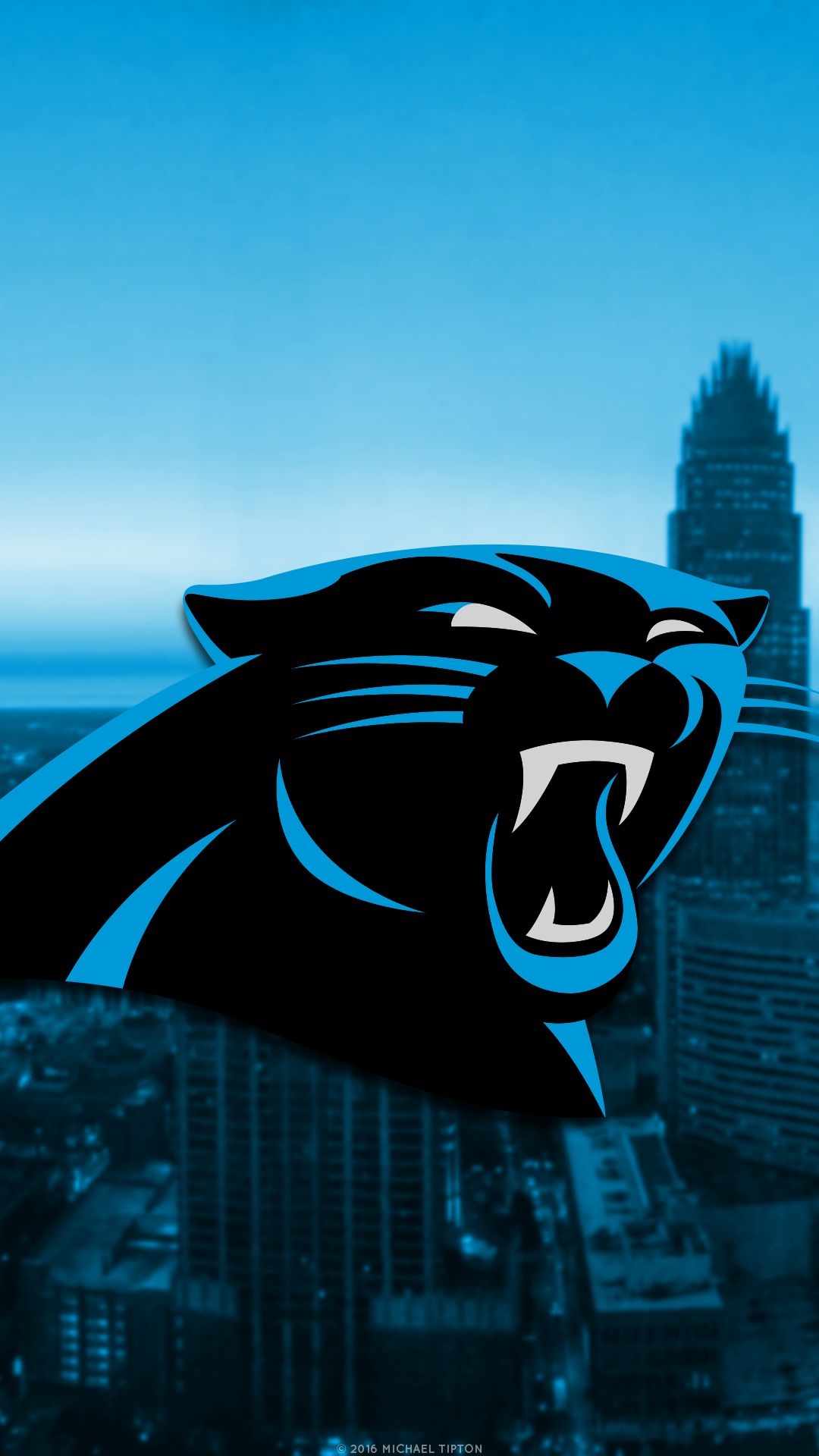 Carolina Panthers, sports, nfl, football HD phone wallpaper