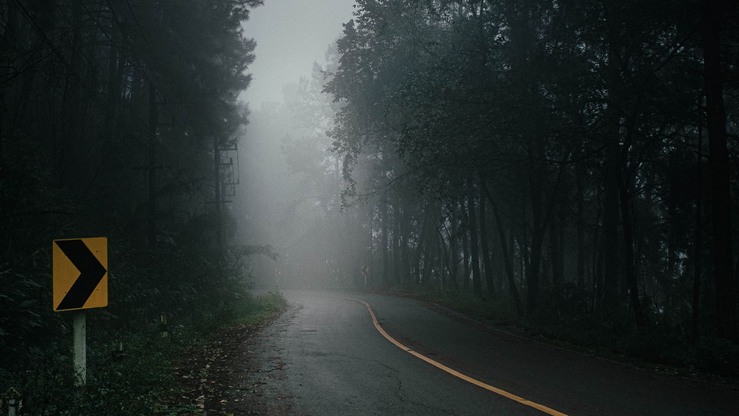 Дорога туман лес 4к