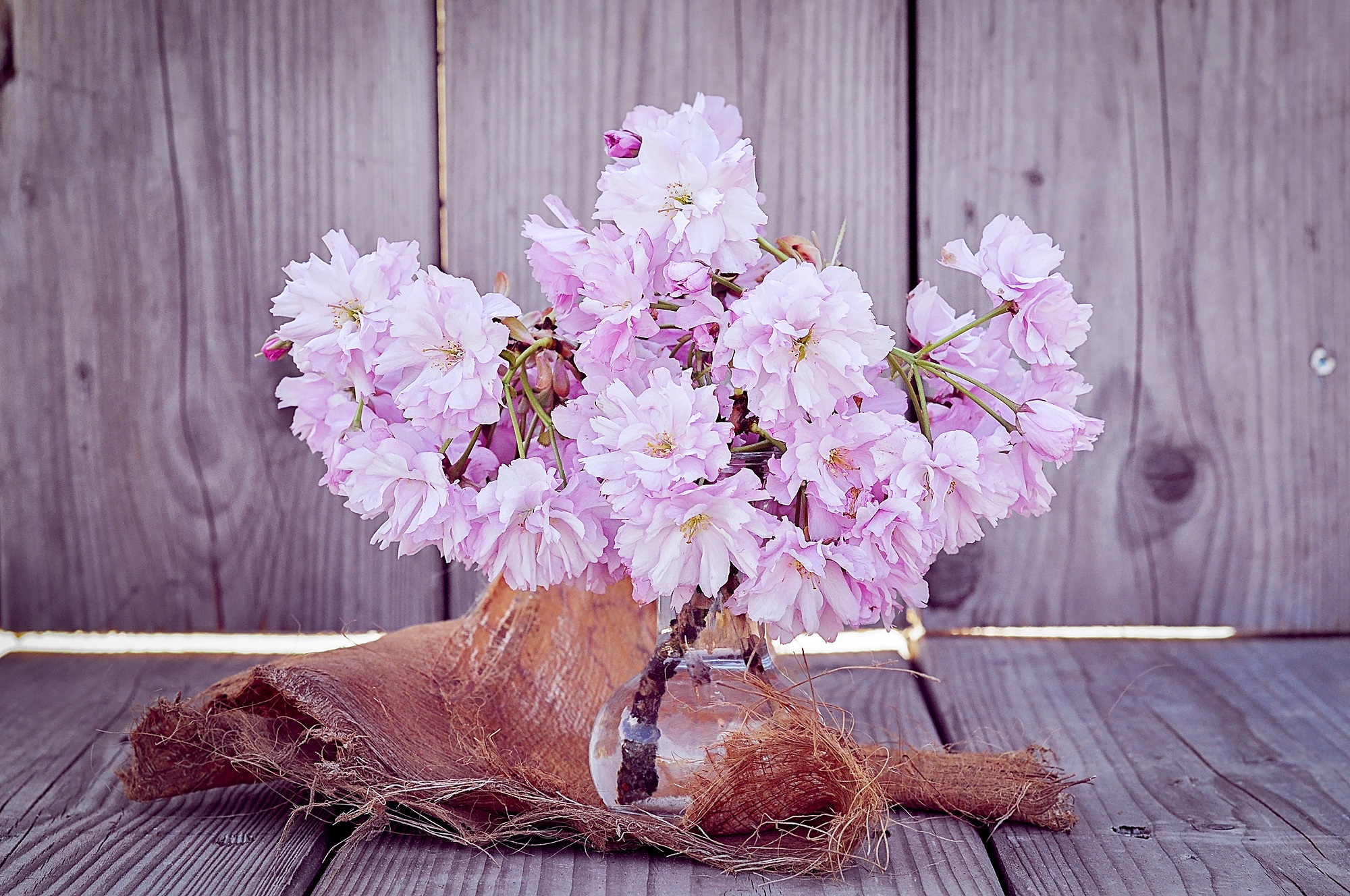 Handy-Wallpaper Bouquet, Vase, Blumen, Strauß, Sakura kostenlos herunterladen.