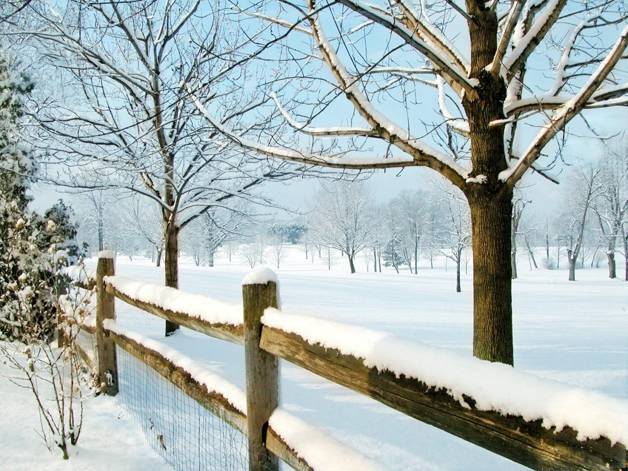 Скачать картинку Снег, Деревья, Зима, Пейзаж в телефон бесплатно.