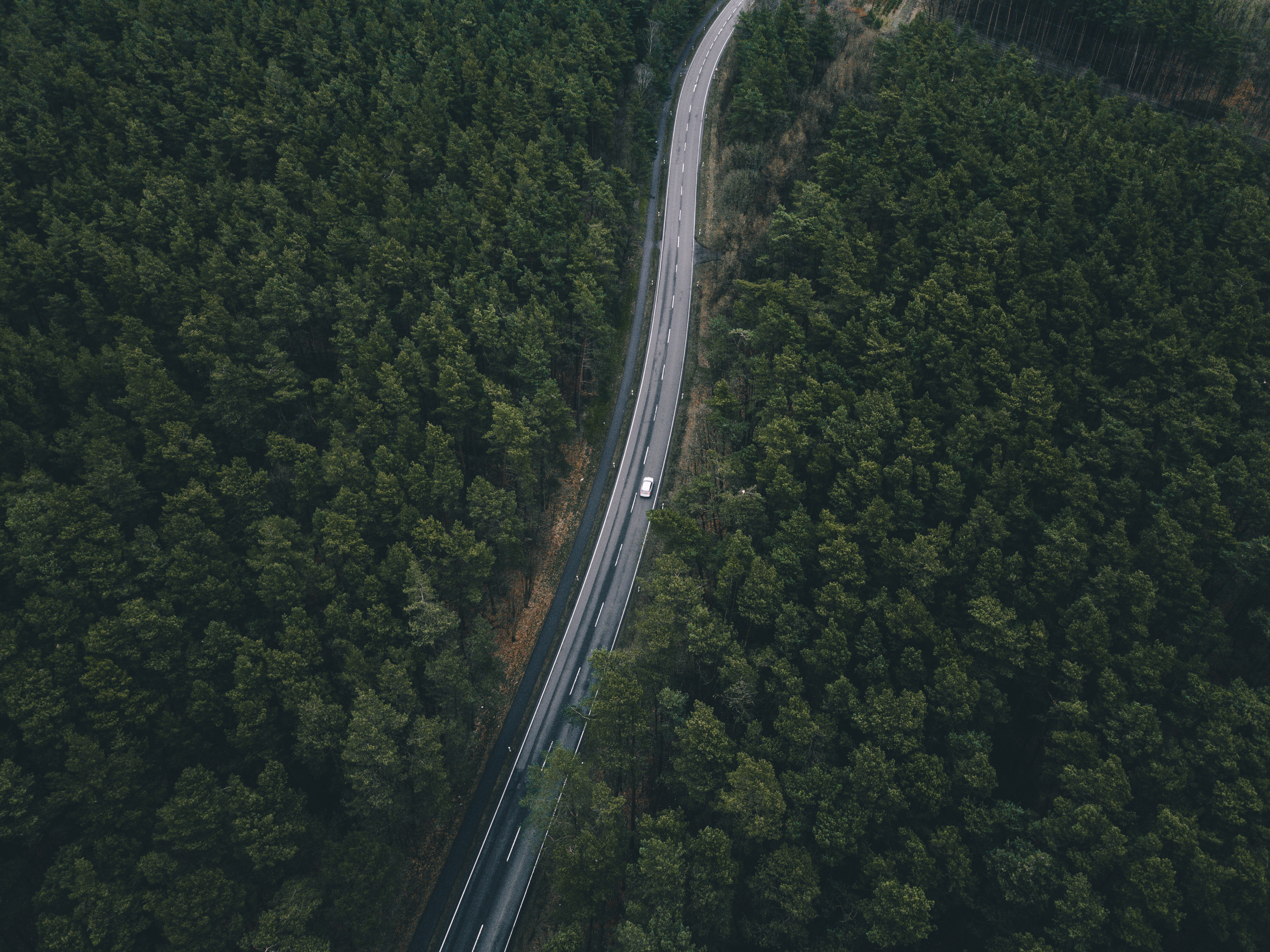 Desktop FHD view from above, nature, trees, road