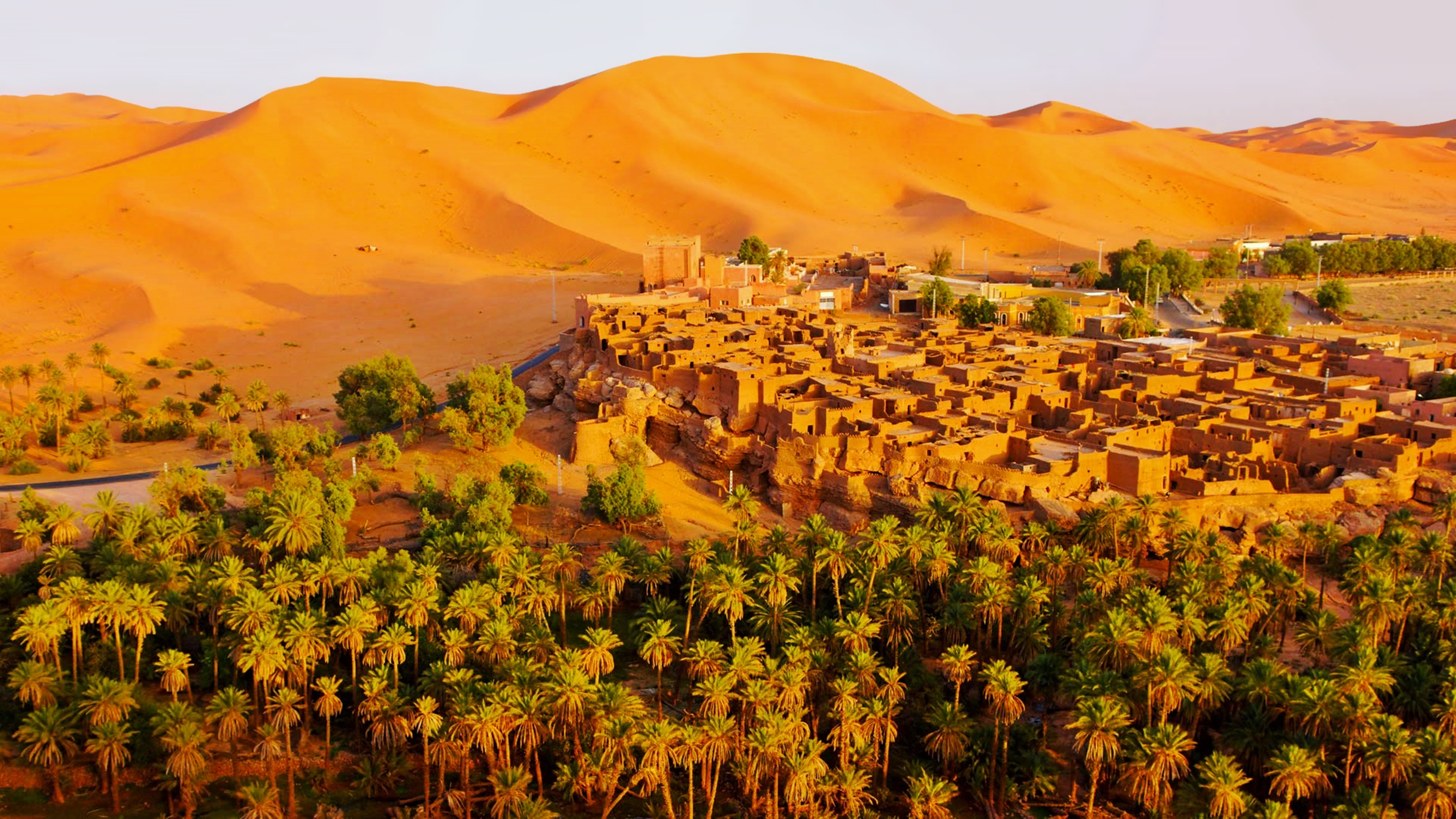 sahara, man made, village, africa, algeria, desert, dune, oasis, palm tree, sand, taghit Desktop home screen Wallpaper