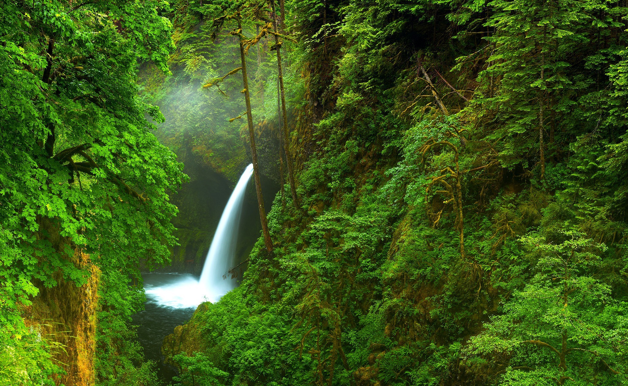 earth, waterfall, creek, forest, waterfalls 1080p