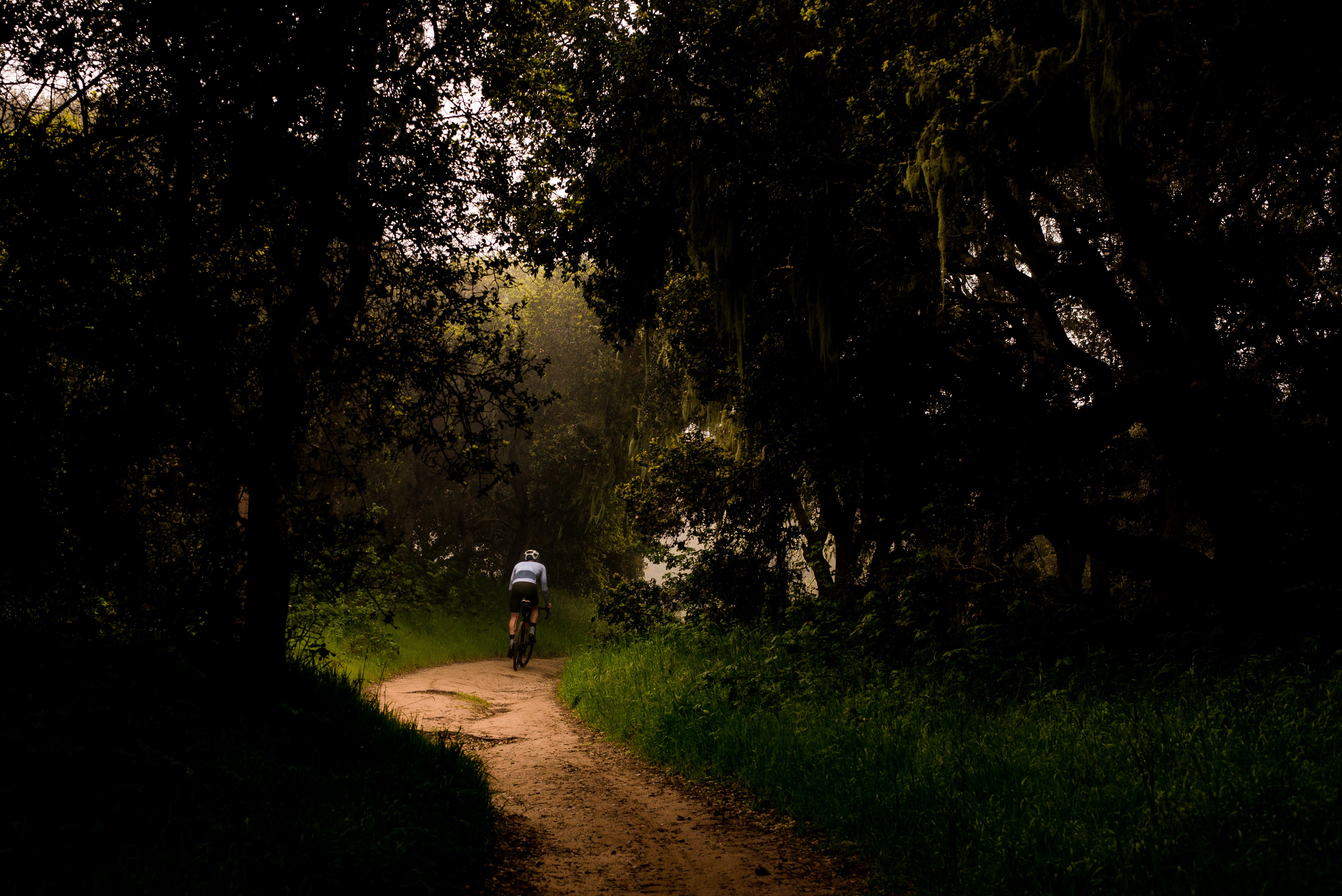 bicycle, cyclist, dark, trees, path mobile wallpaper