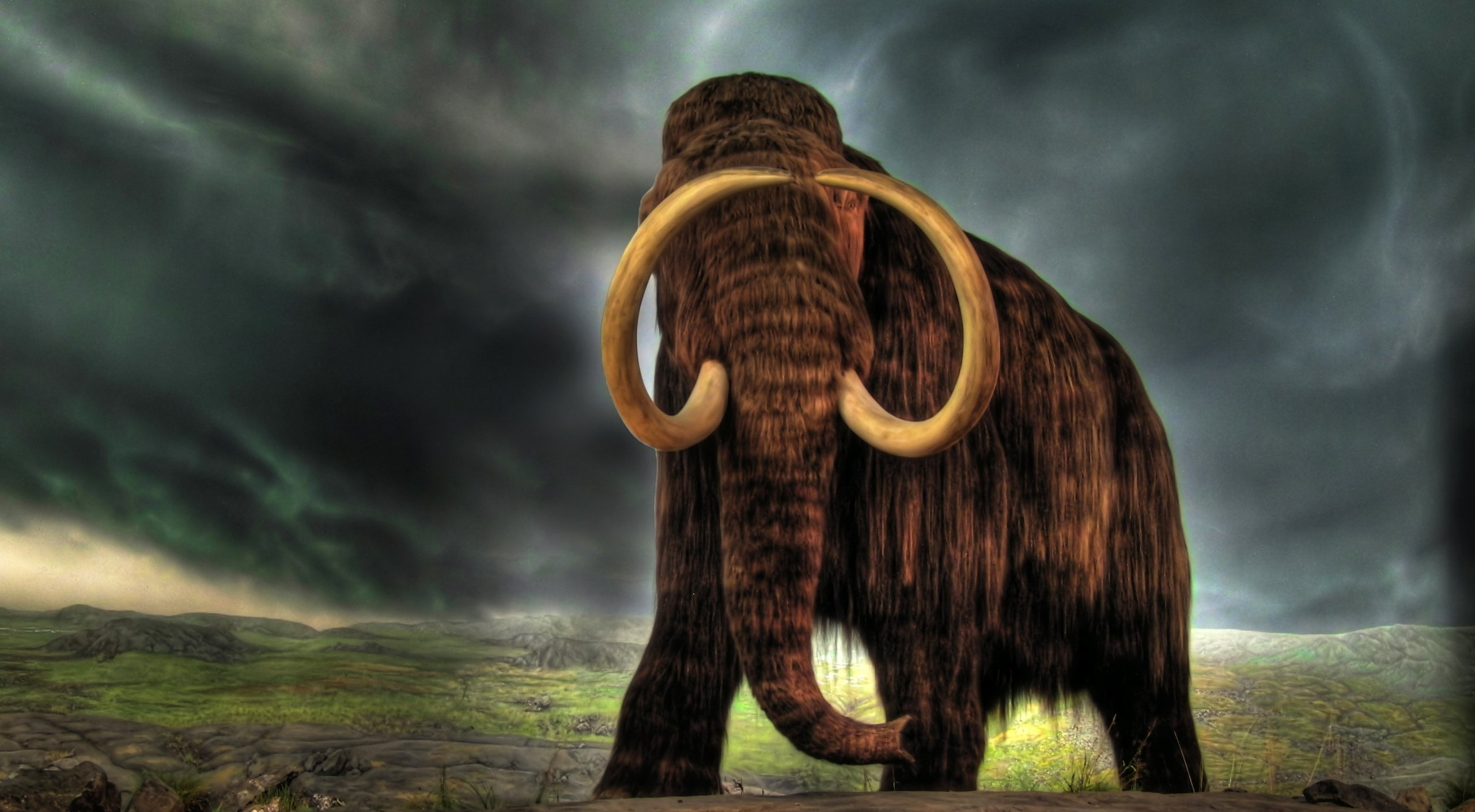 647532 下載圖片 动物, 长毛象, 绝种, 巨人, 上新世, 象牙 - 免費壁紙和屏保