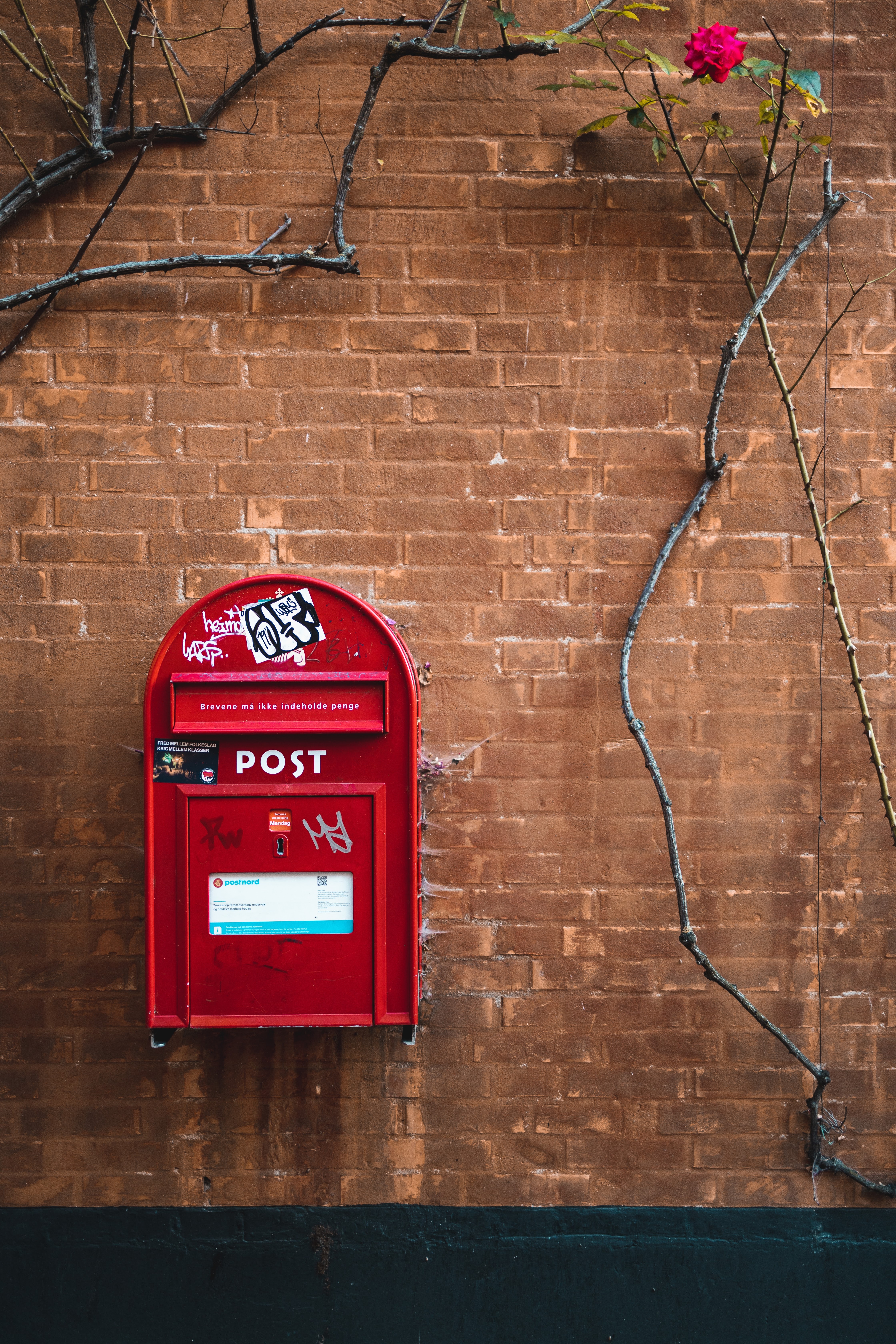 miscellaneous, wall, brick wall, miscellanea, box, ivy, post office, mail