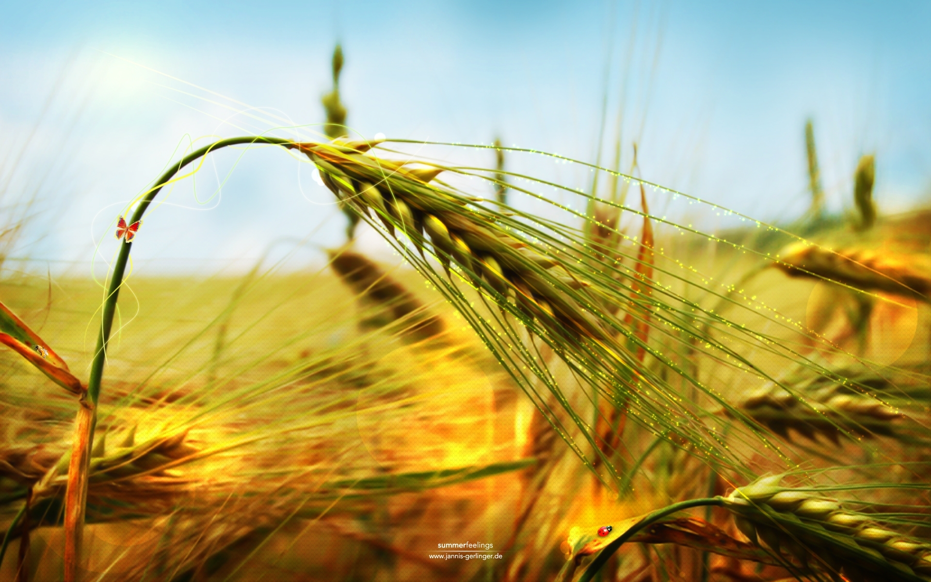 Free download wallpaper Plants, Grass, Art, Wheat on your PC desktop