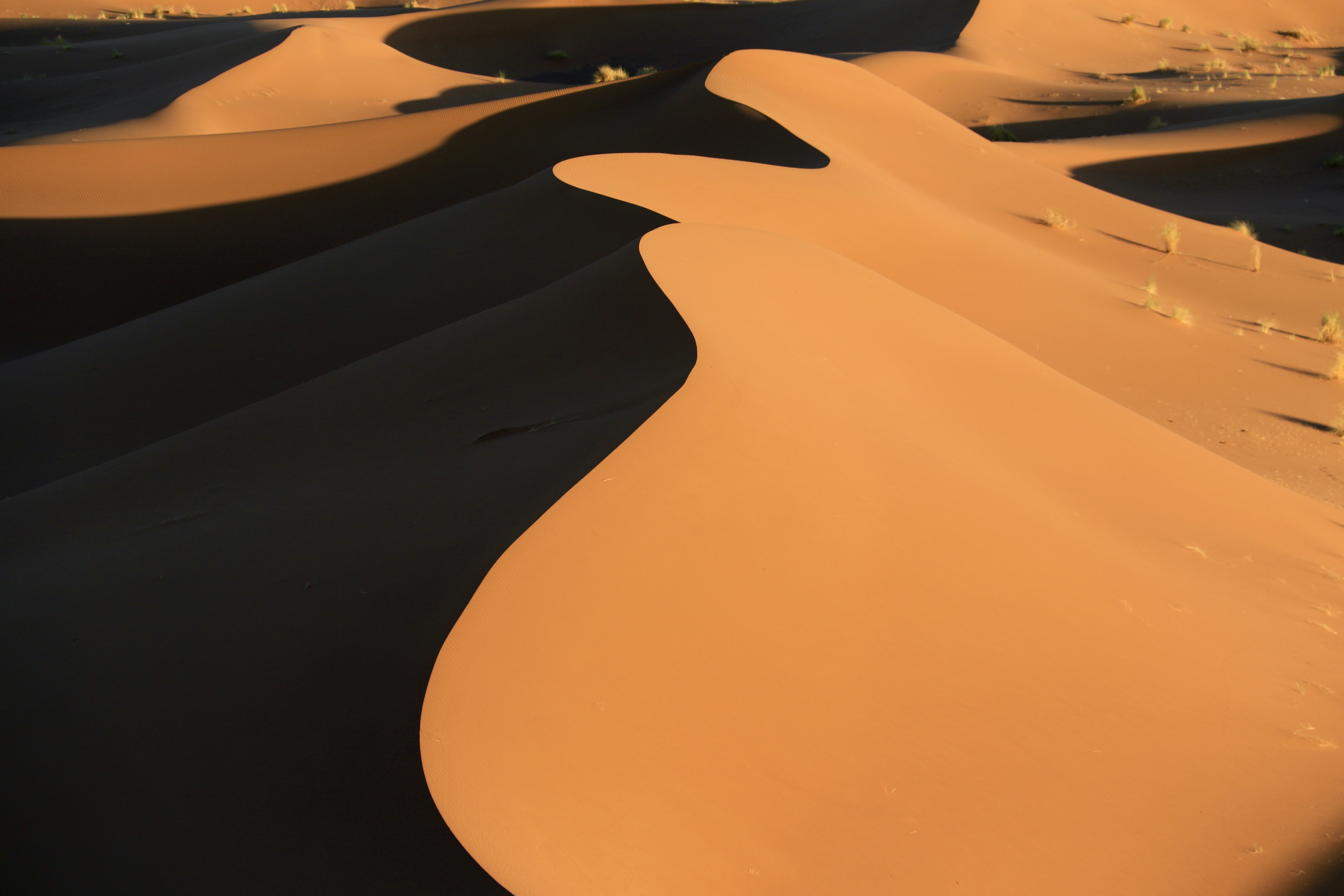 Laden Sie das Linderung, Erleichterung, Barkhan, Sanddüne, Sand, Wüste, Natur-Bild kostenlos auf Ihren PC-Desktop herunter