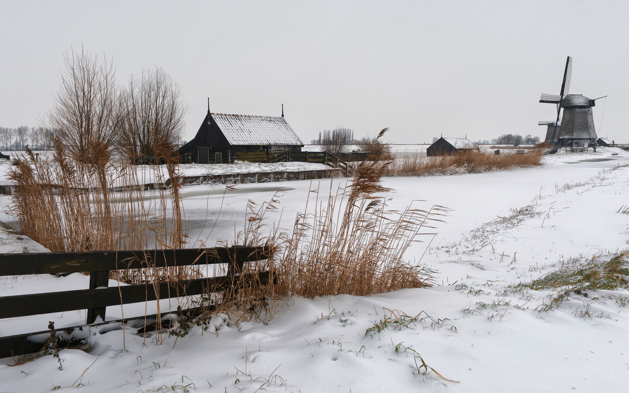 Free download wallpaper Snow, Ears, Spikes, Village, Cold, Mill, Nature, Farm, House on your PC desktop