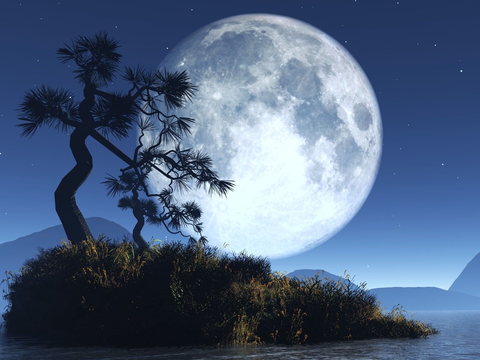 Скачать обои бесплатно Деревья, Ночь, Луна, Пейзаж картинка на рабочий стол ПК