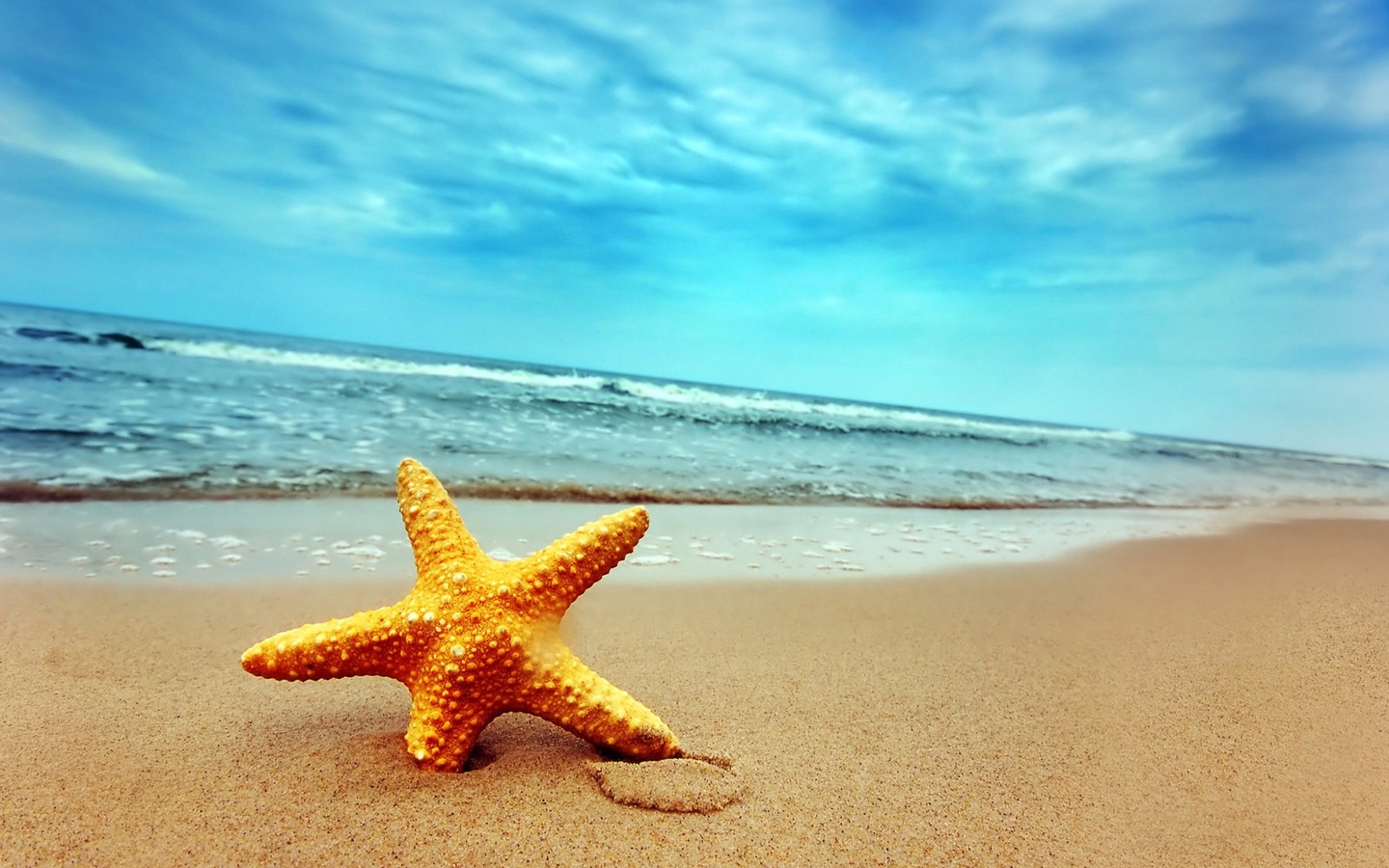 Handy-Wallpaper Starfish, Sea, Hintergrund, Strand kostenlos herunterladen.