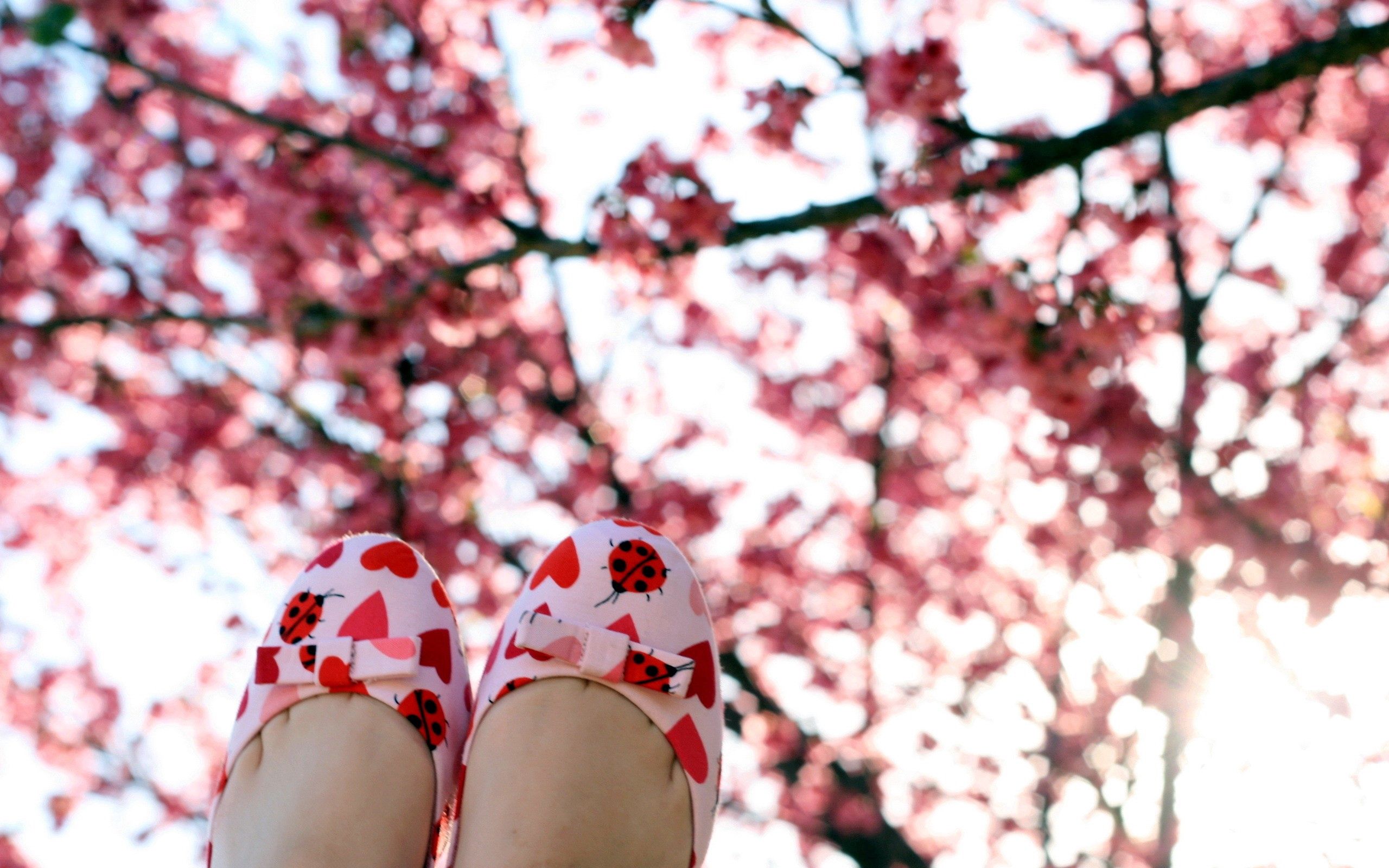Download PC Wallpaper miscellanea, miscellaneous, wood, legs, tree, branches, positive, slippers