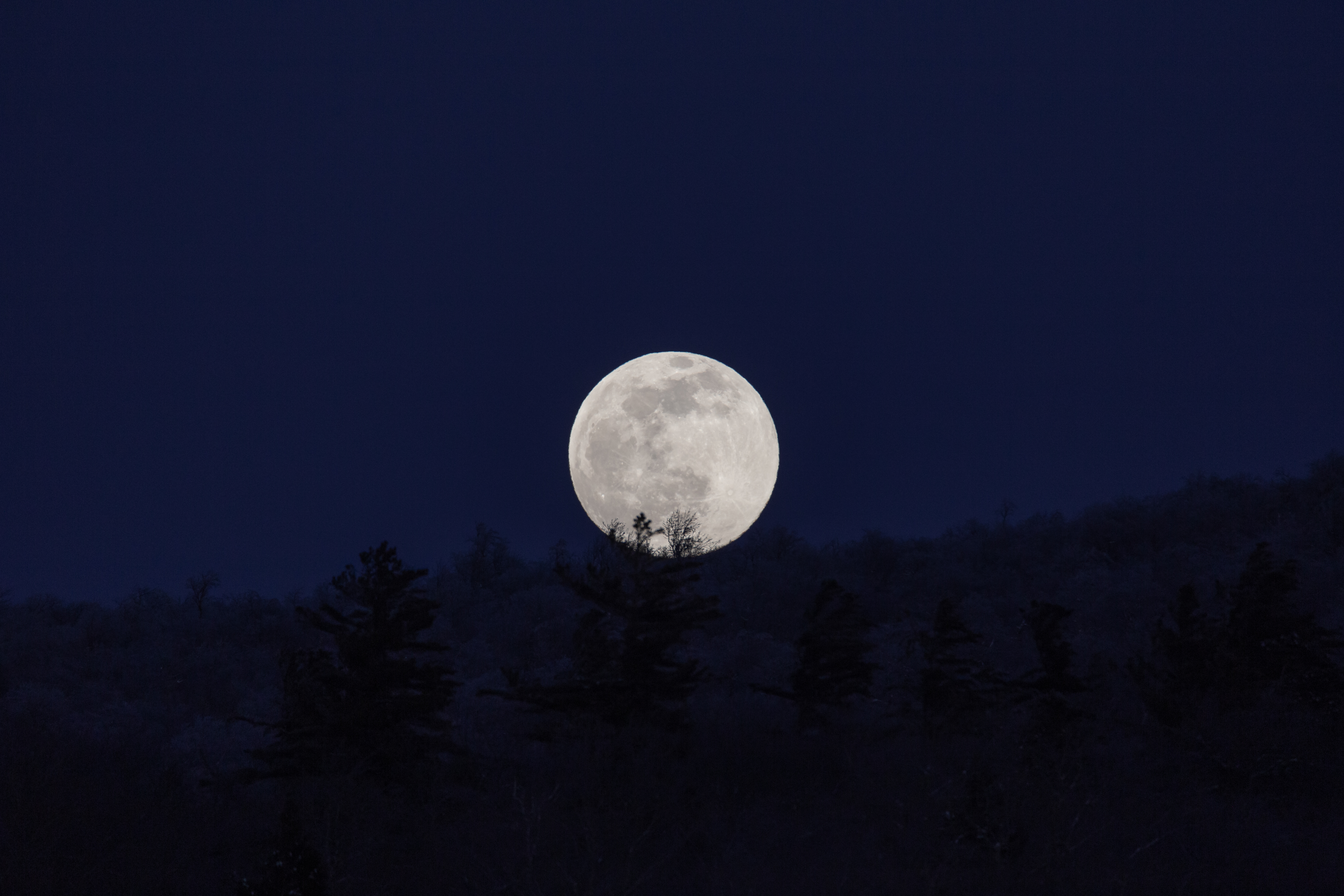 full moon, dark, night, moon, nature HD wallpaper