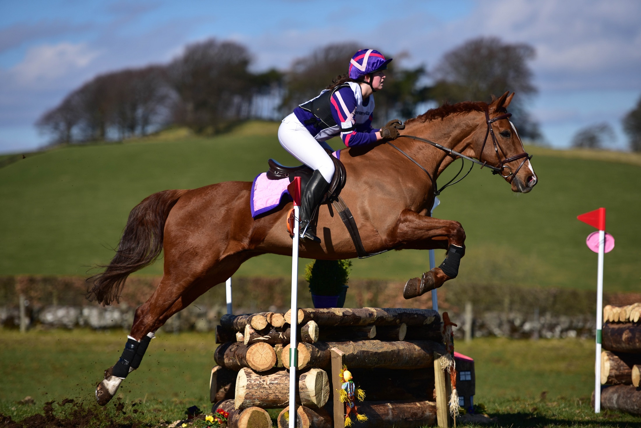 sports, show jumping, equestrian, horse
