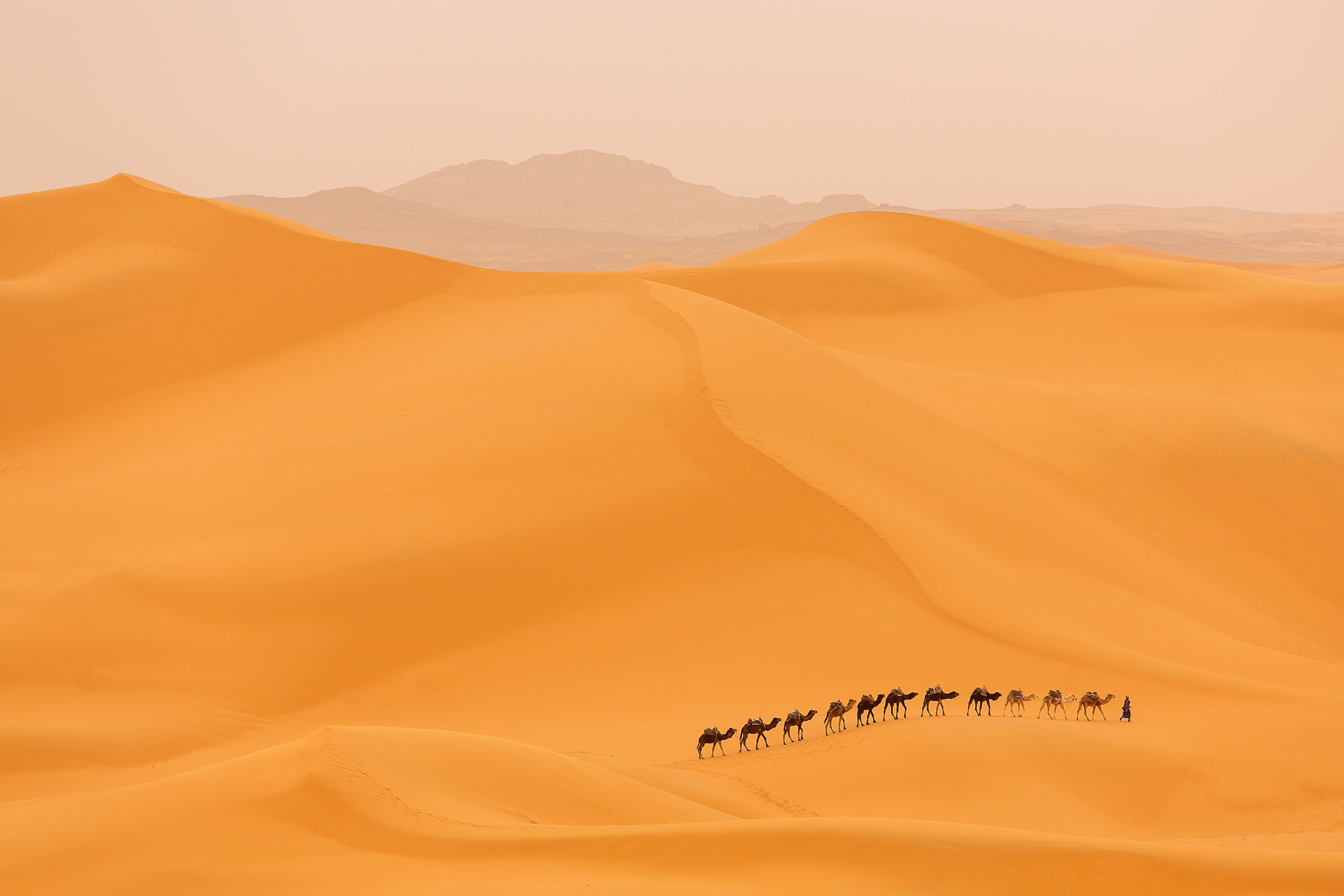 caravan, photography, desert, dune