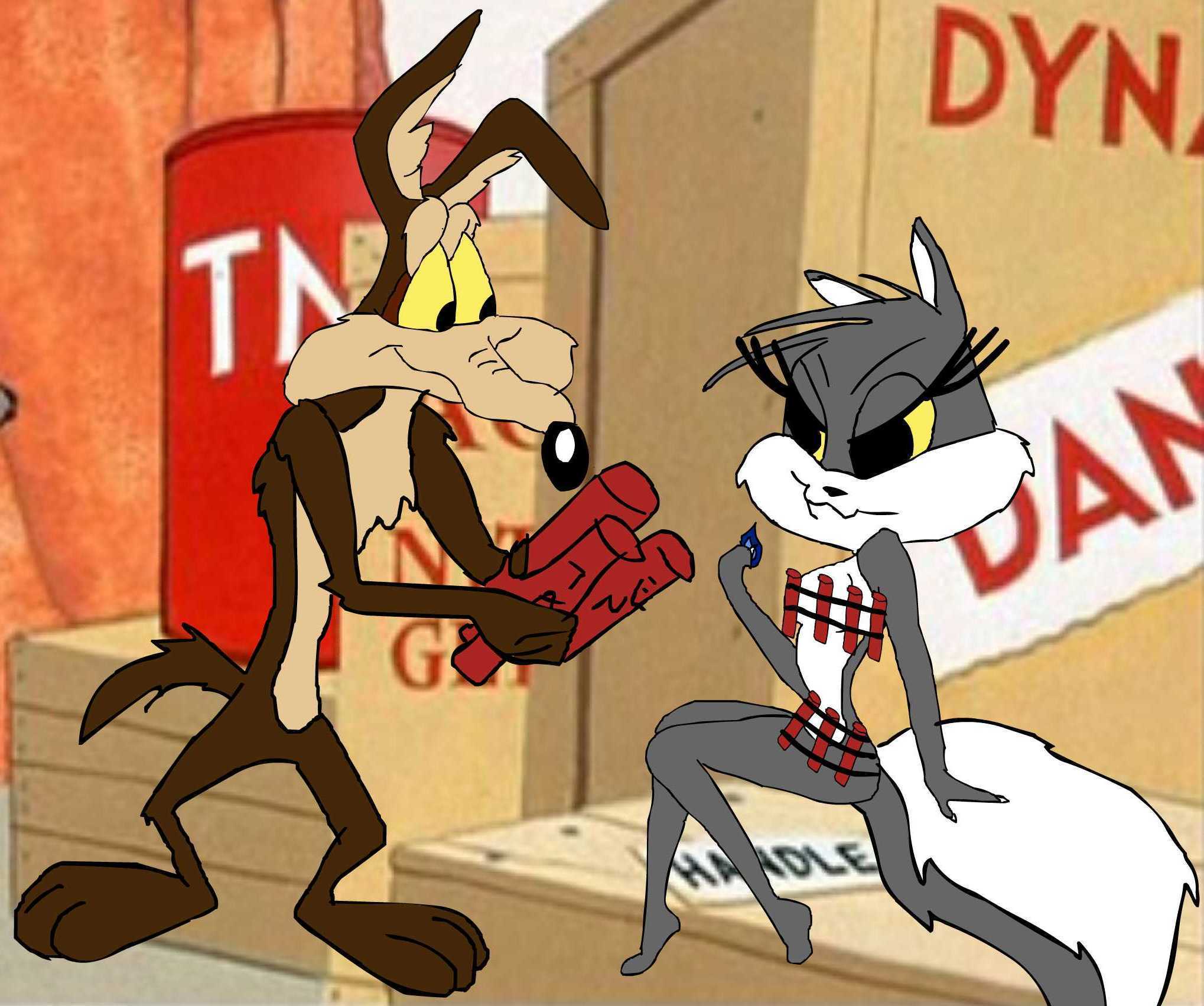 Télécharger des fonds d'écran Coyote HD