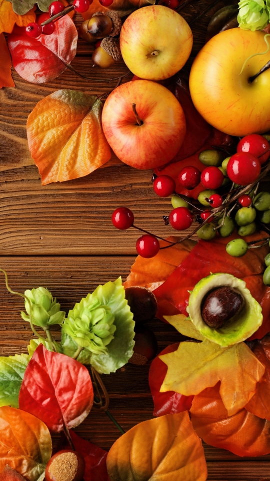 photography, still life, fruit, fall, berry, harvest, apple, leaf phone wallpaper