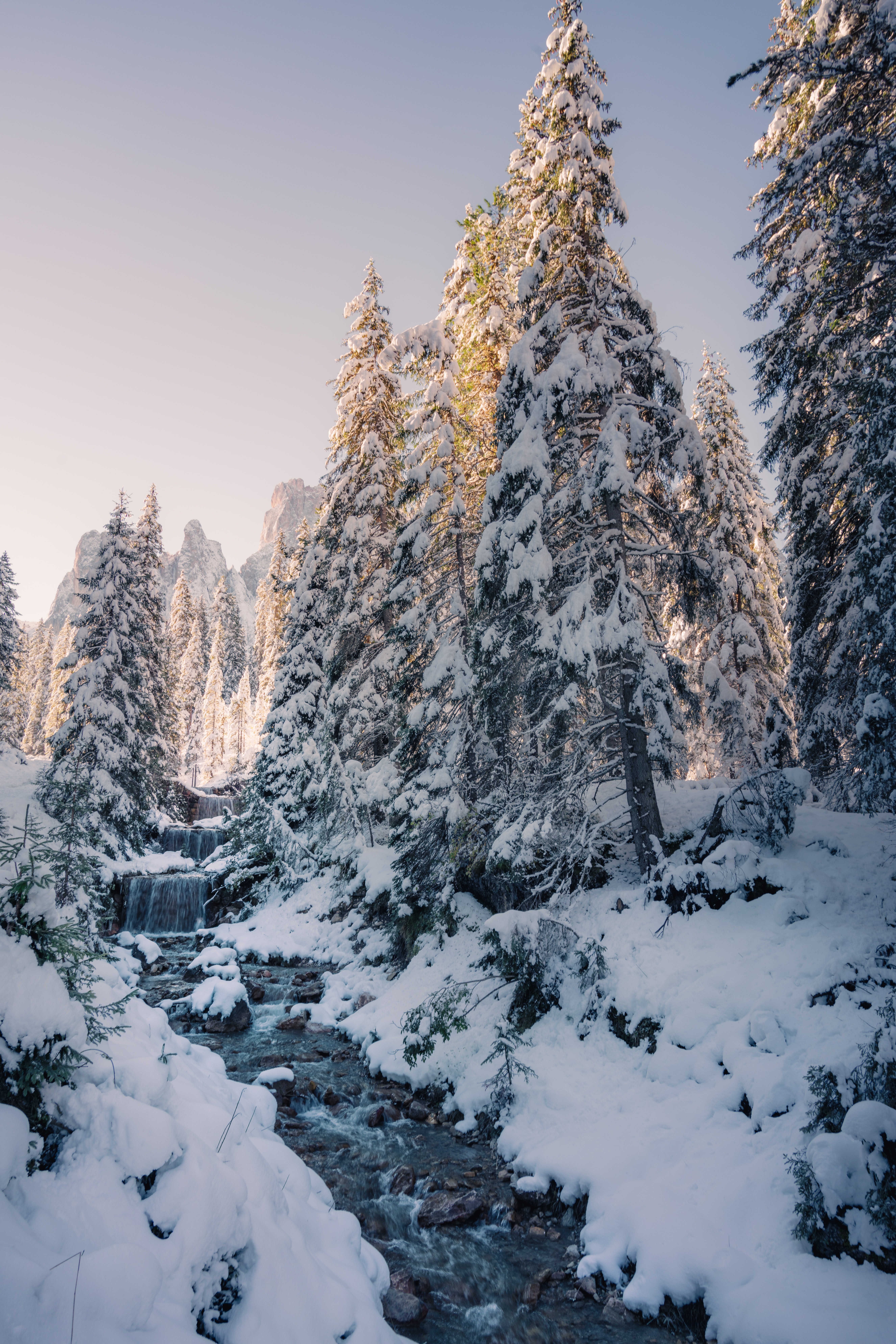 snow, winter, nature, trees, creek, brook Free Background