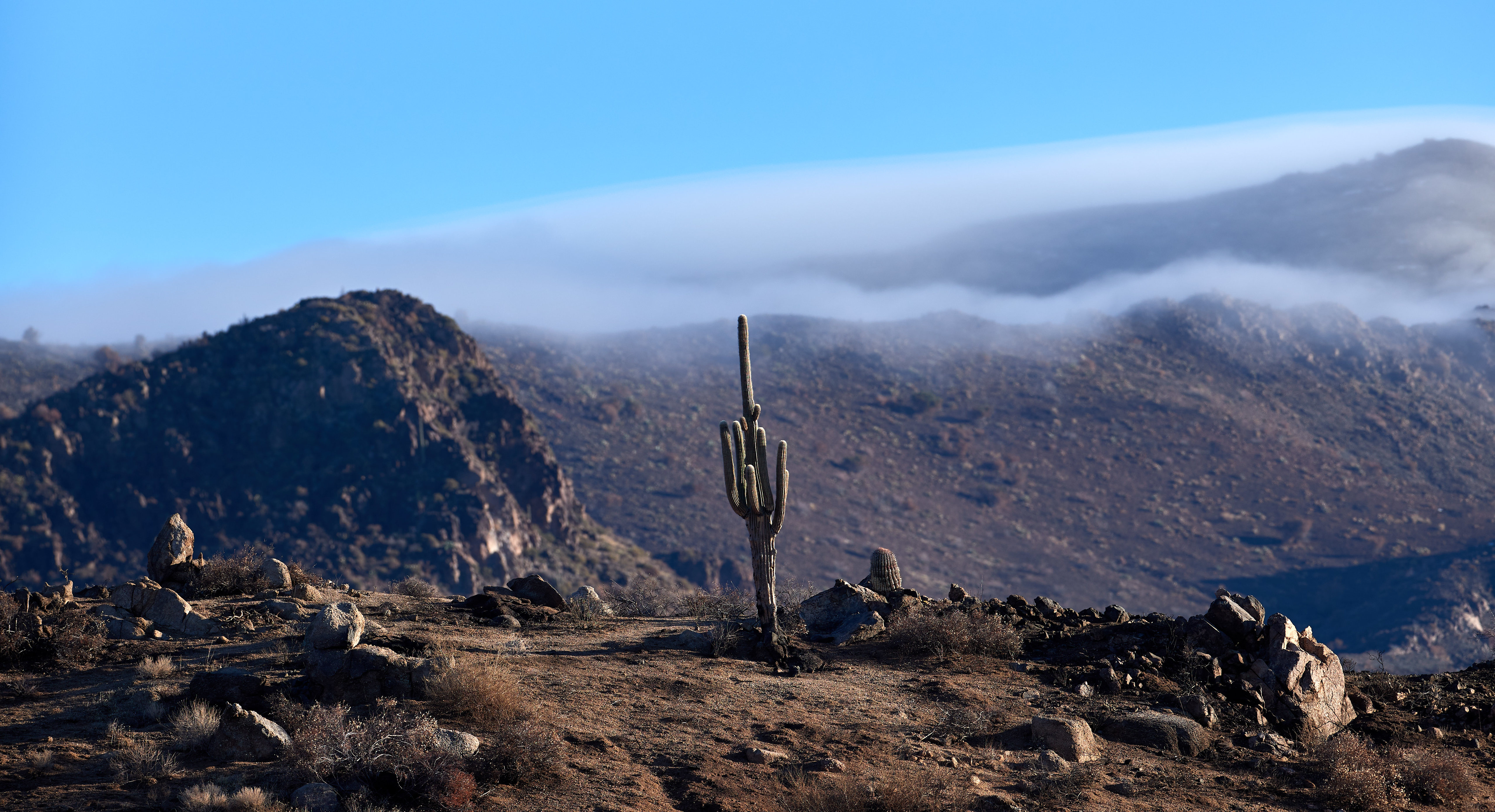 Laden Sie das Natur, Mountains, Die Hügel, Hügel, Wolke, Cloud, Landschaft, Kaktus-Bild kostenlos auf Ihren PC-Desktop herunter