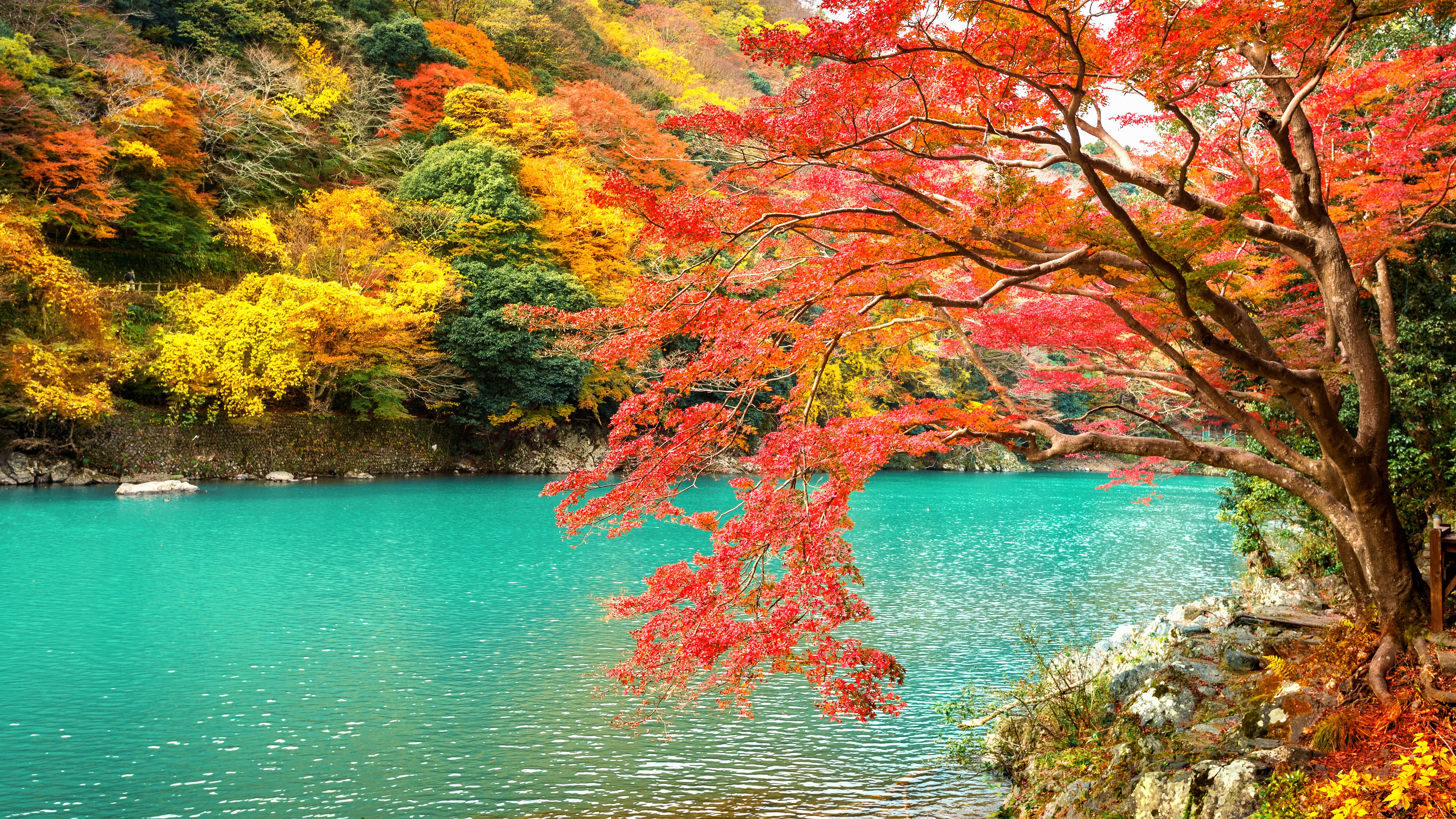 1002723 скачать картинку япония, земля/природа, падать, арасияма, киото, озеро, природа, парк - обои и заставки бесплатно