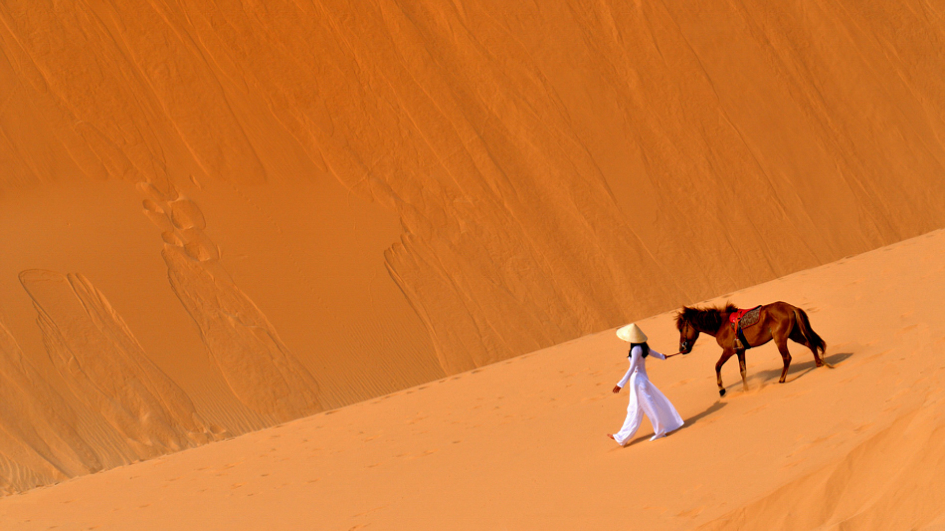 Караван движется. Девушка на лошади в пустыне. Лошадь в пустыне. Караван в пустыне. Девушка и Караван в пустыне.