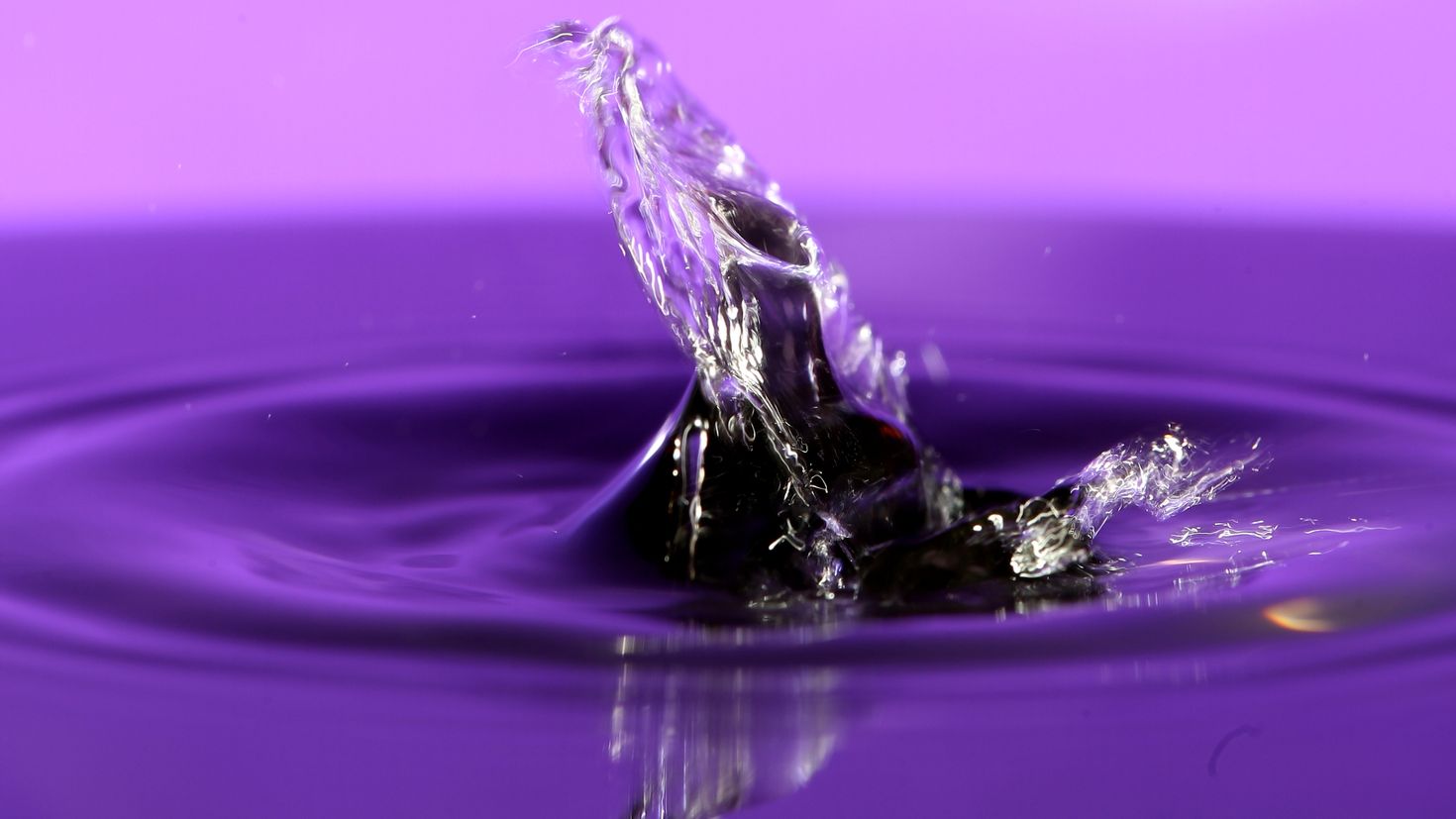 Фиолетовая вода почему. Фиолетовая вода. Вода обои. Всплеск воды. Фиолетовая вода фон.