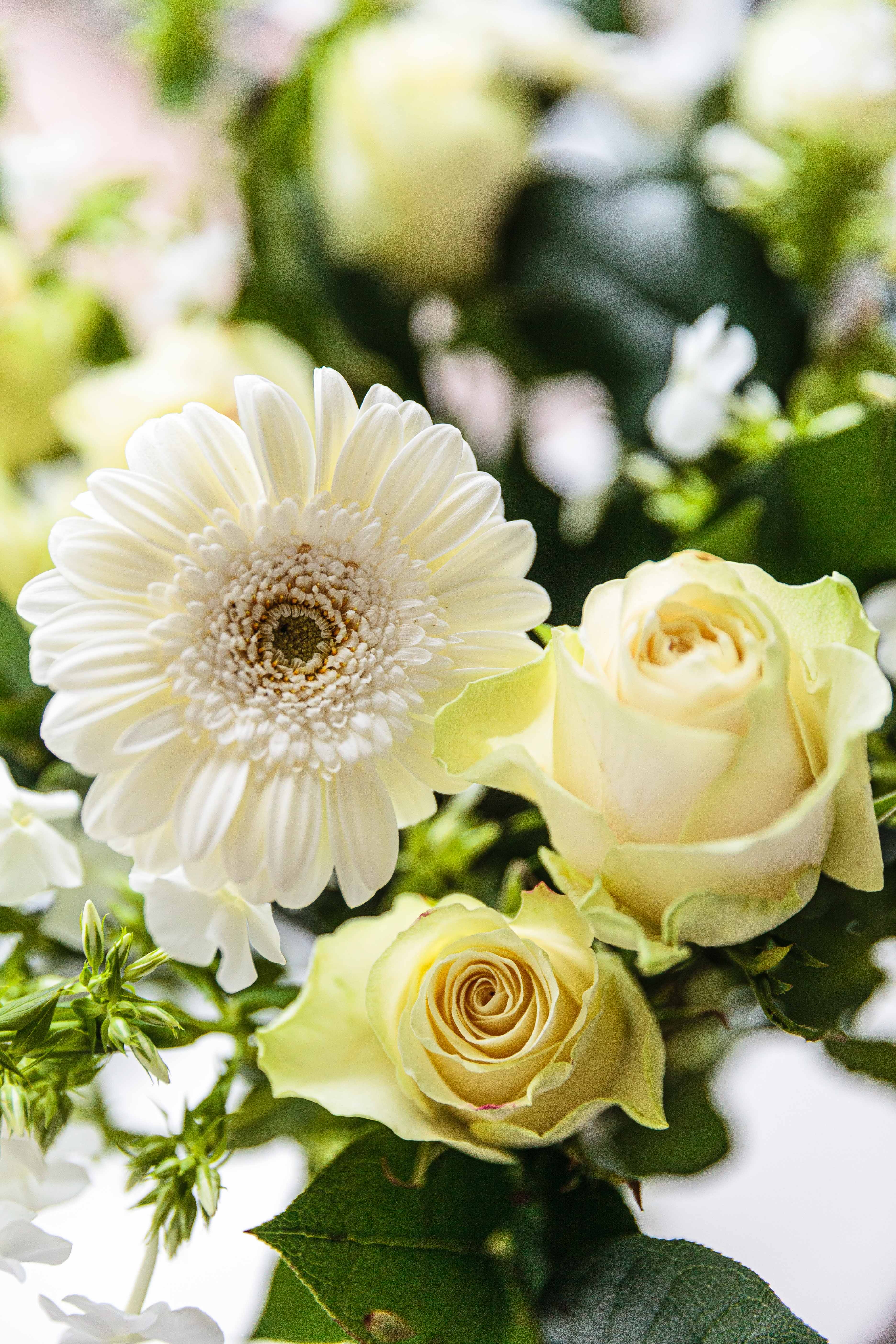 Téléchargez des papiers peints mobile Bouquet, Floraison, Fleurs, Plantes gratuitement.