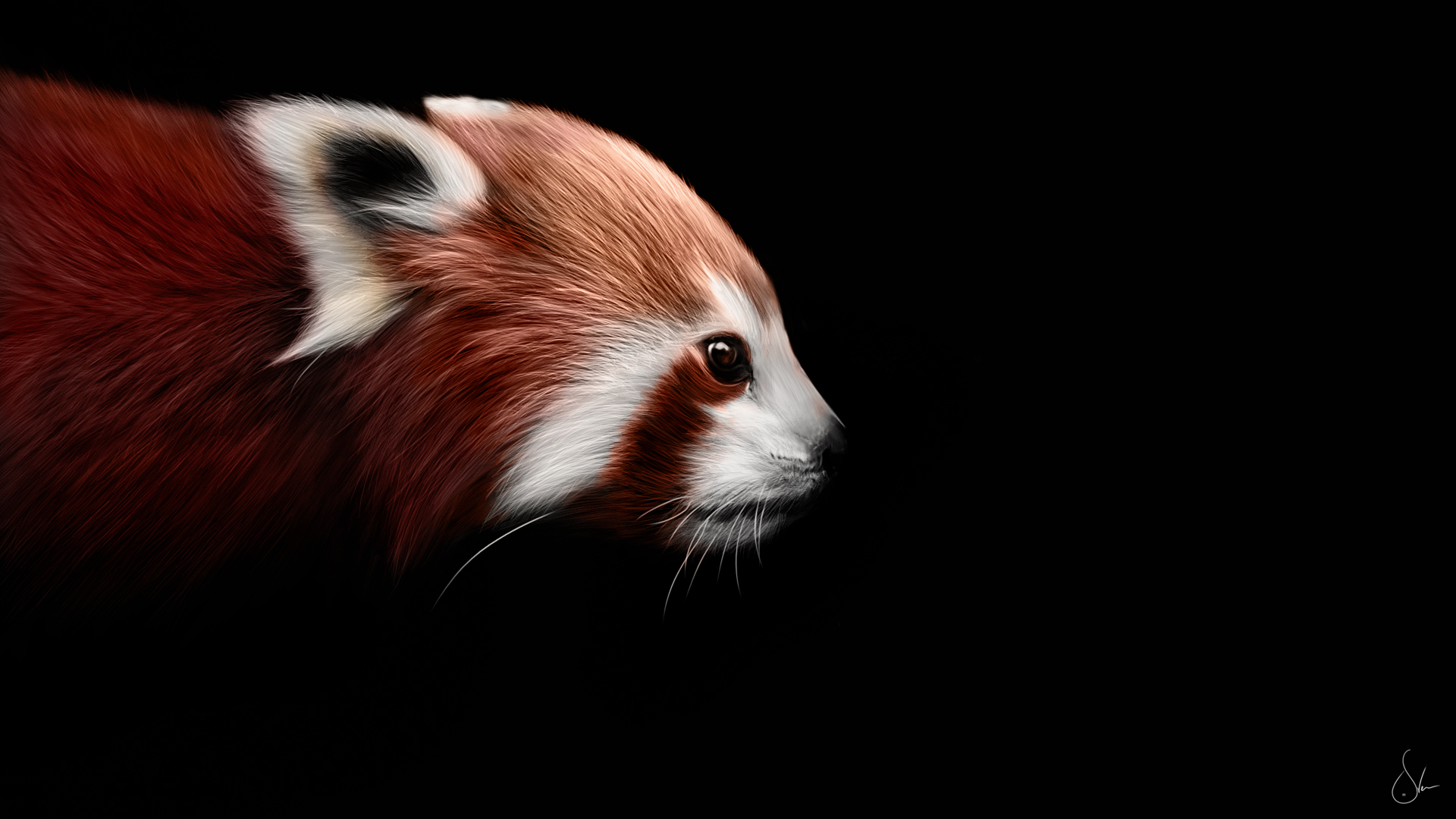 587637 Hintergrundbild herunterladen tiere, kleiner panda - Bildschirmschoner und Bilder kostenlos