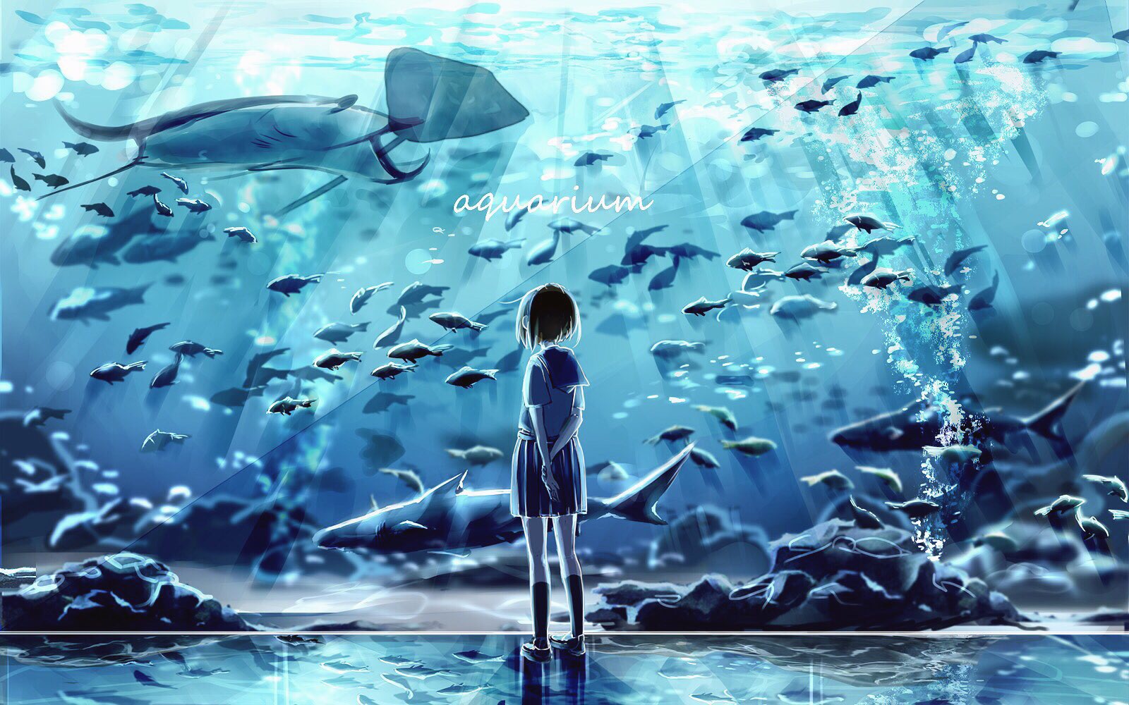 anime, original, aquarium, bubble, fish, water