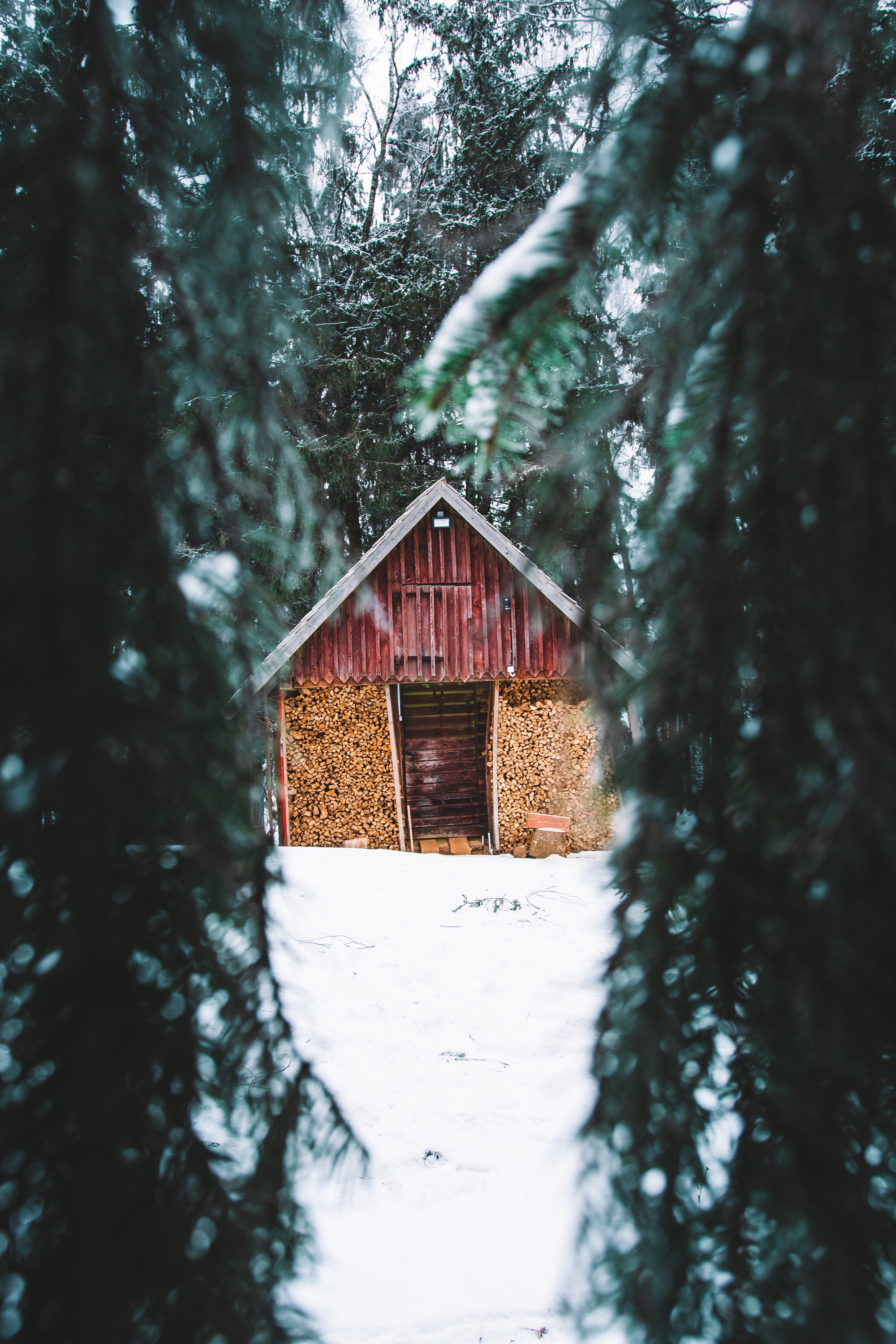 Download PC Wallpaper winter, nature, trees, snow, fir trees, hut