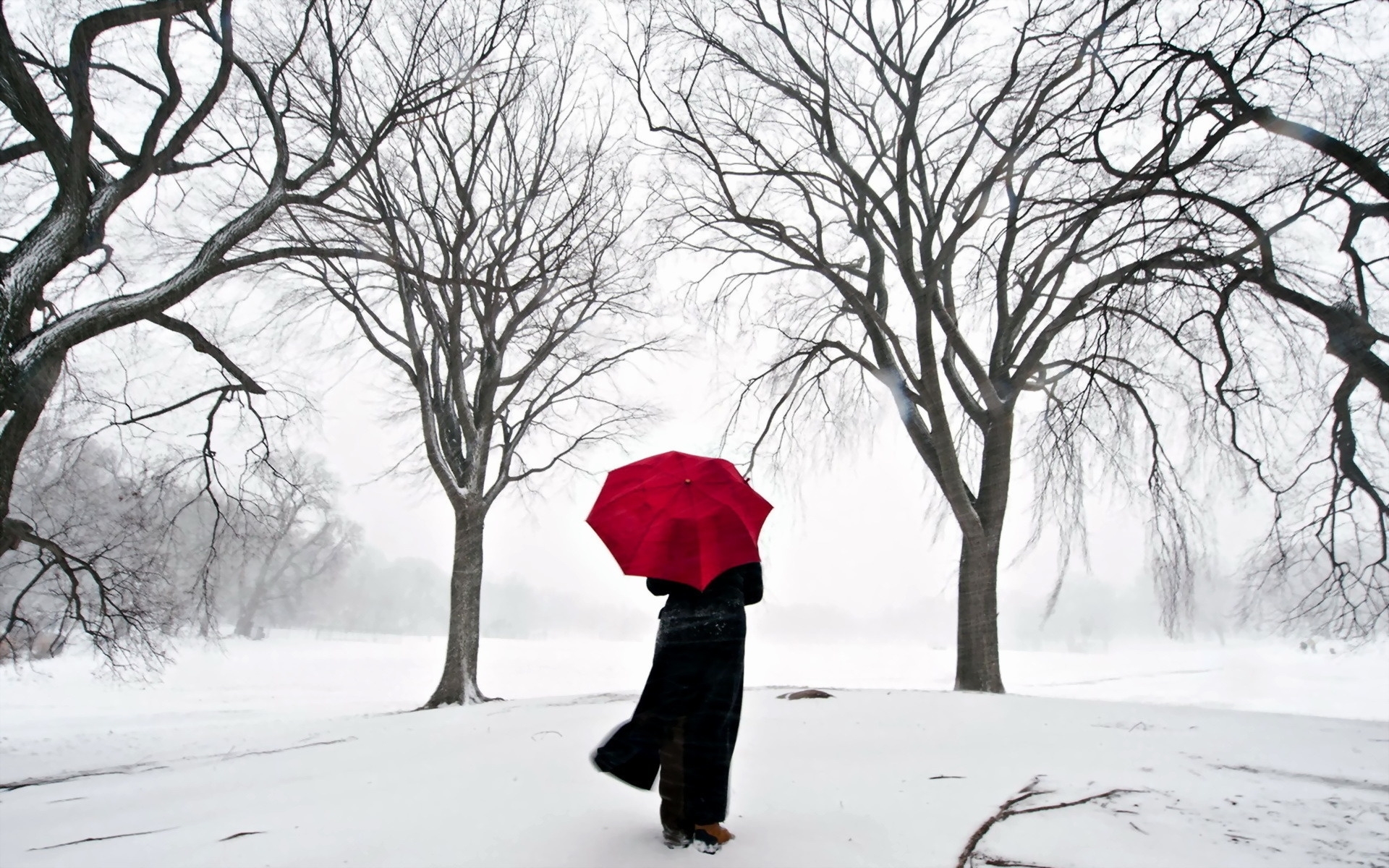 免费下载景观, 人, 冬天, 树, 雪手机壁纸。