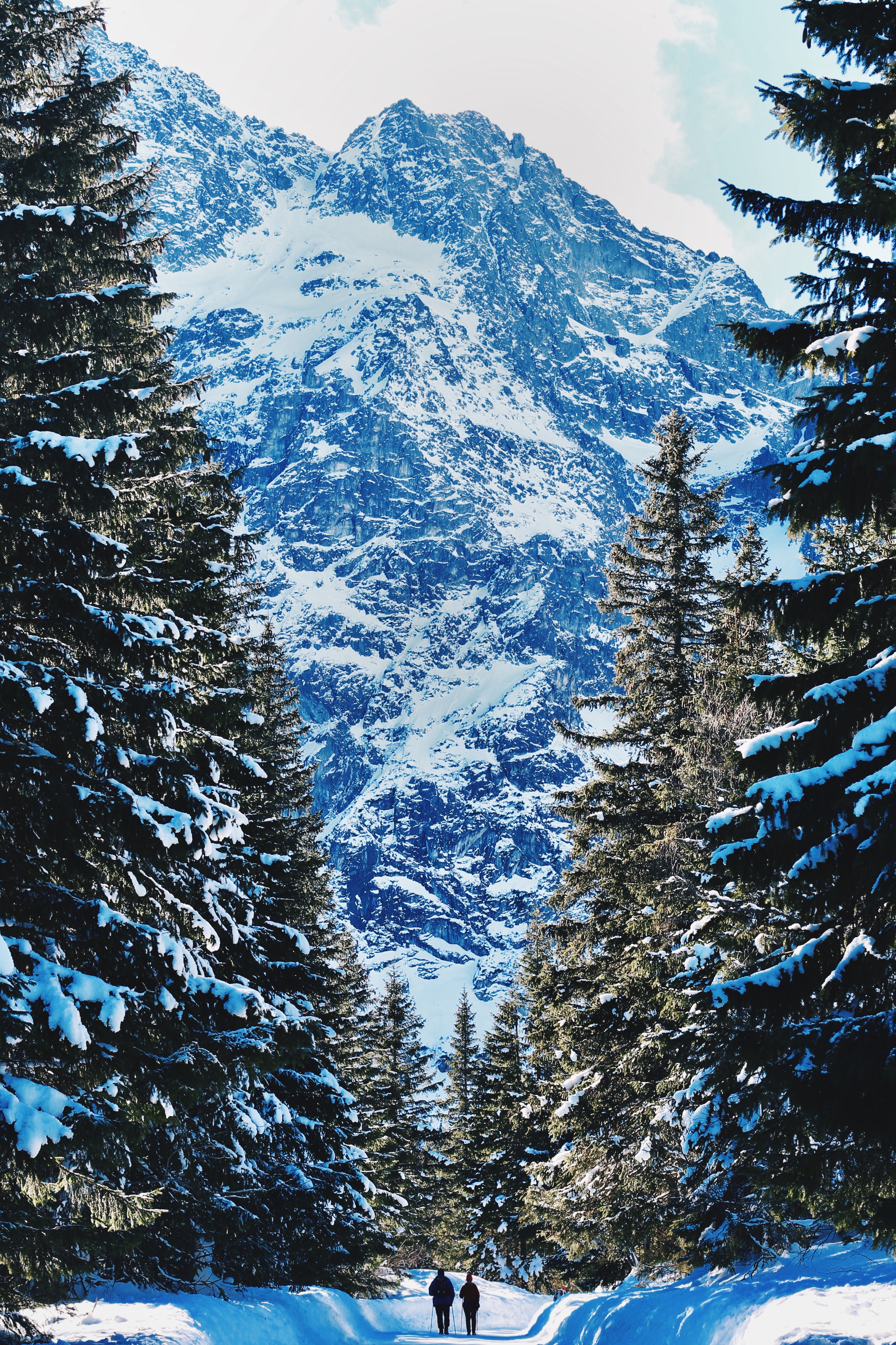 Download mobile wallpaper Snow, Forest, Mountains, Winter, Nature, People for free.