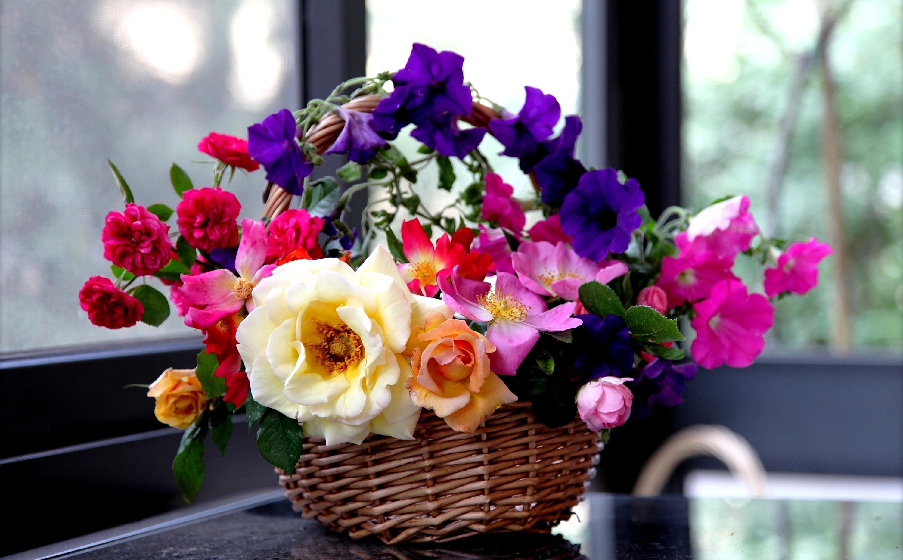 Handy-Wallpaper Blumen, Petunie, Garten, Korb, Komposition, Zusammensetzung, Roses kostenlos herunterladen.