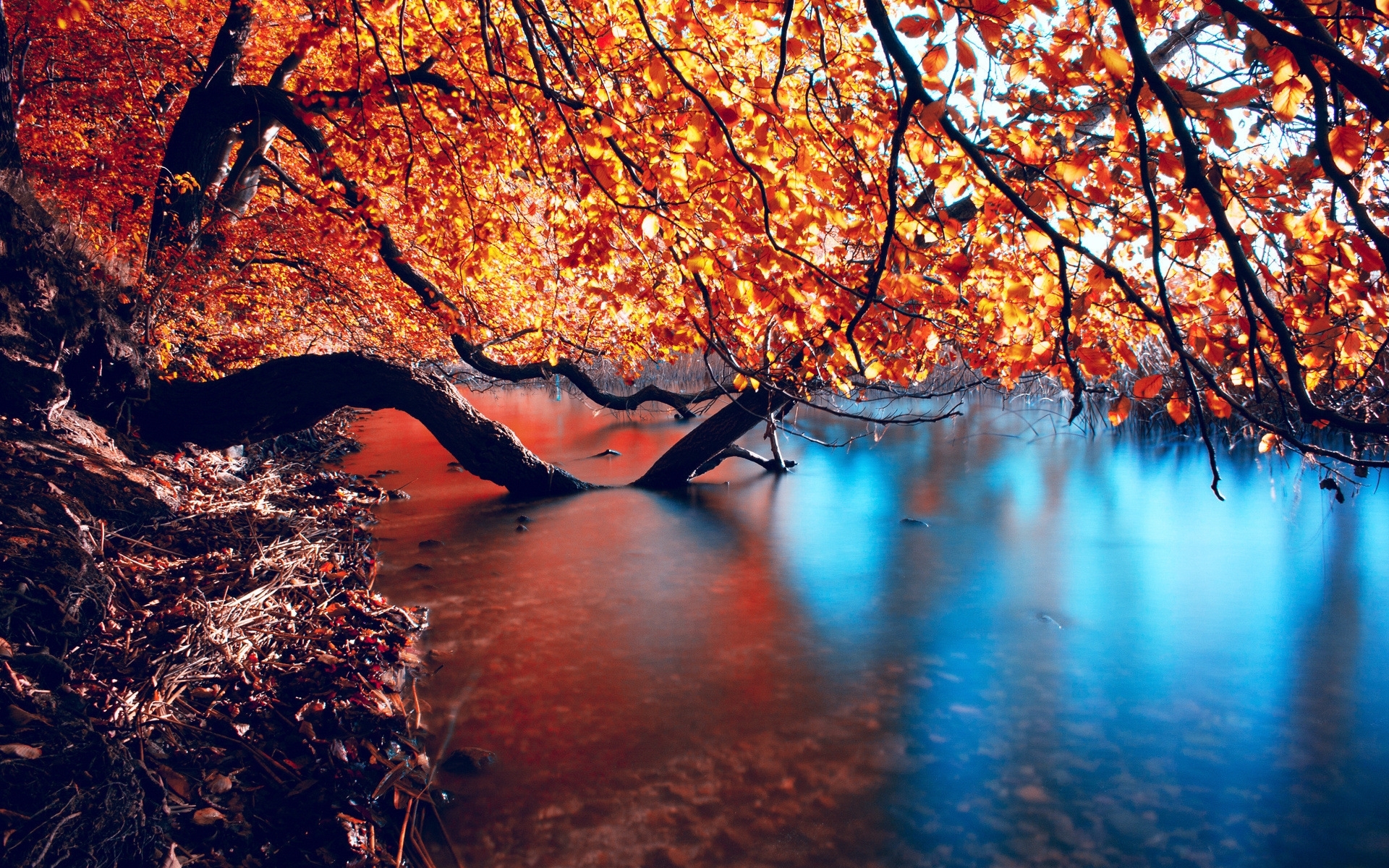 Download mobile wallpaper Landscape, Rivers, Trees, Autumn for free.