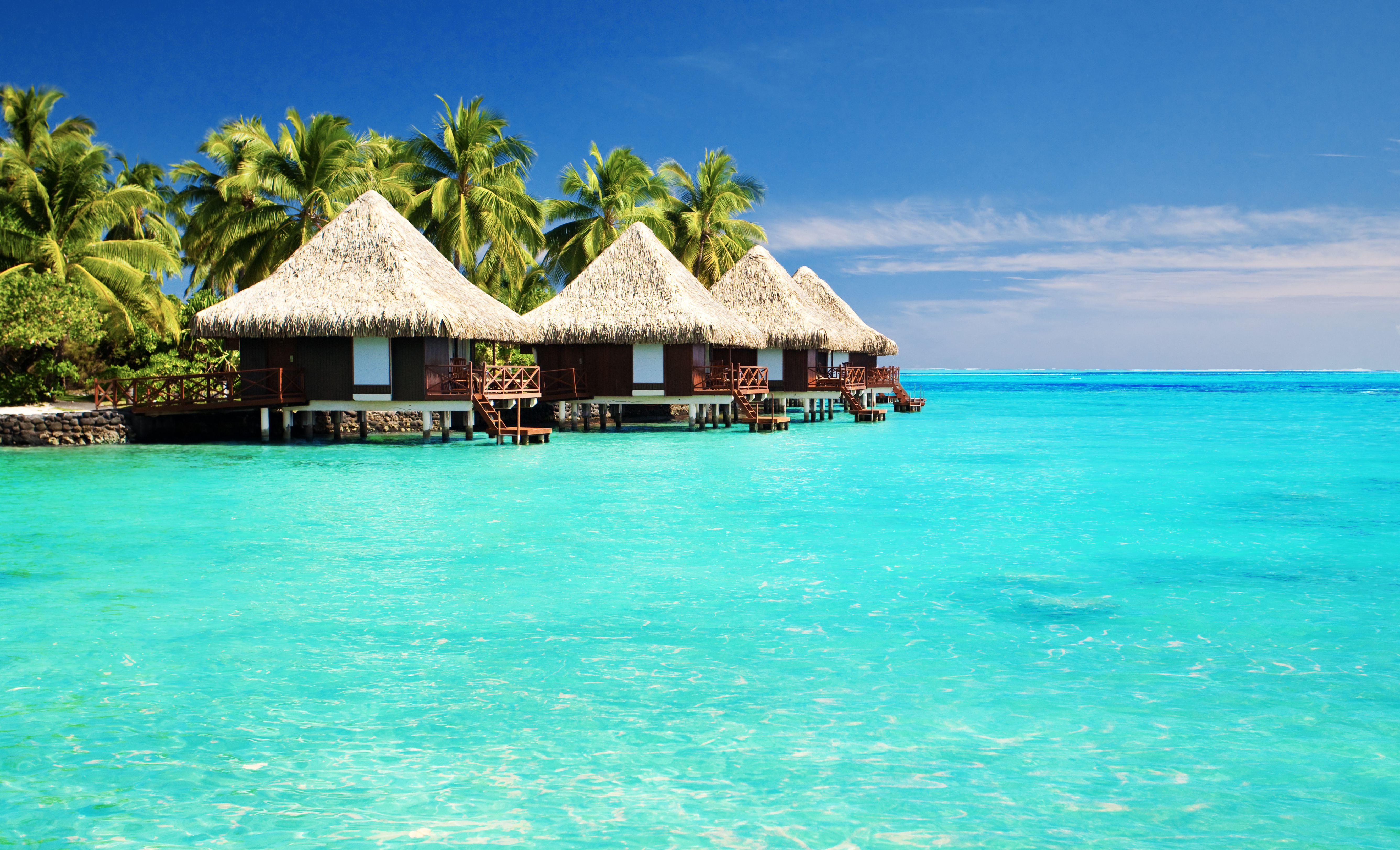 bungalow, photography, tropical, hut, lagoon, ocean, palm tree, sea, tropics, turquoise HD wallpaper