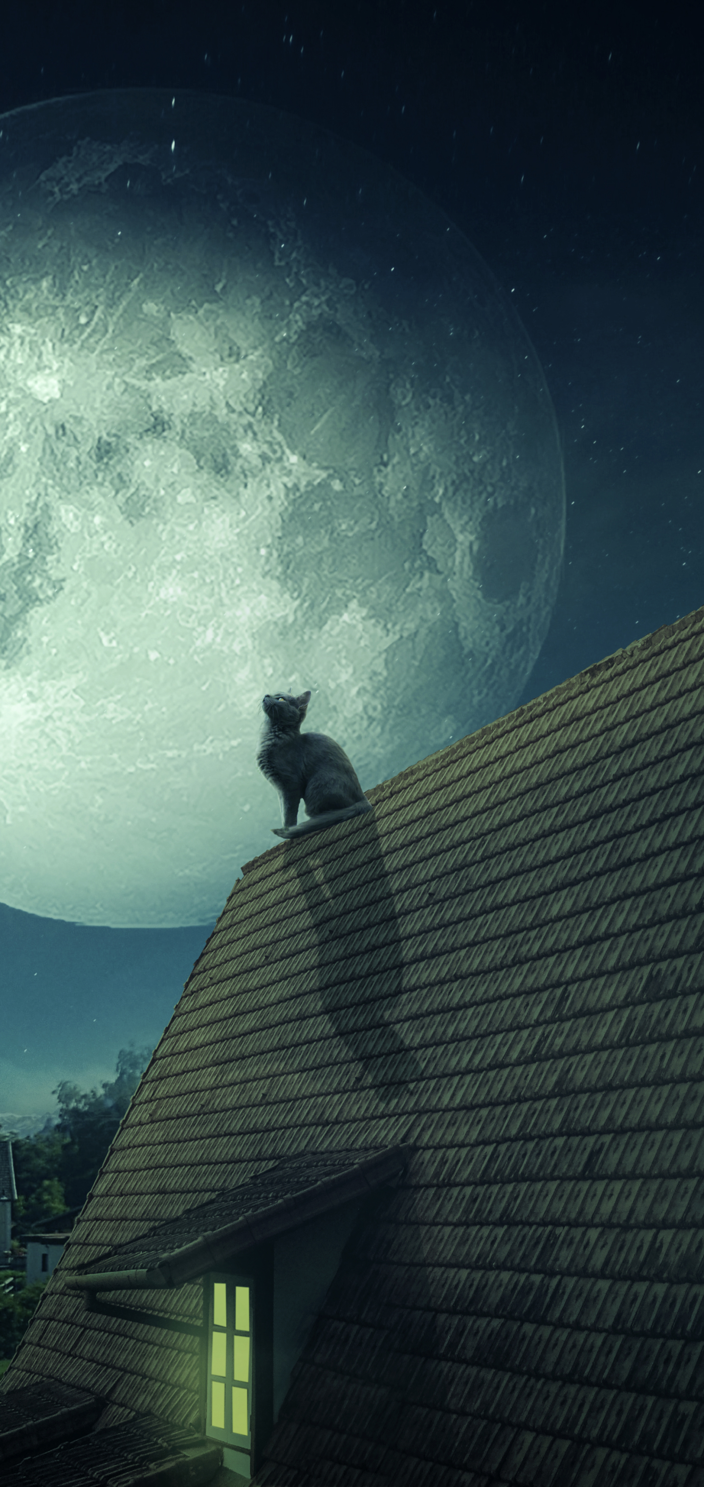 animal, cat, roof, moon, night, cats