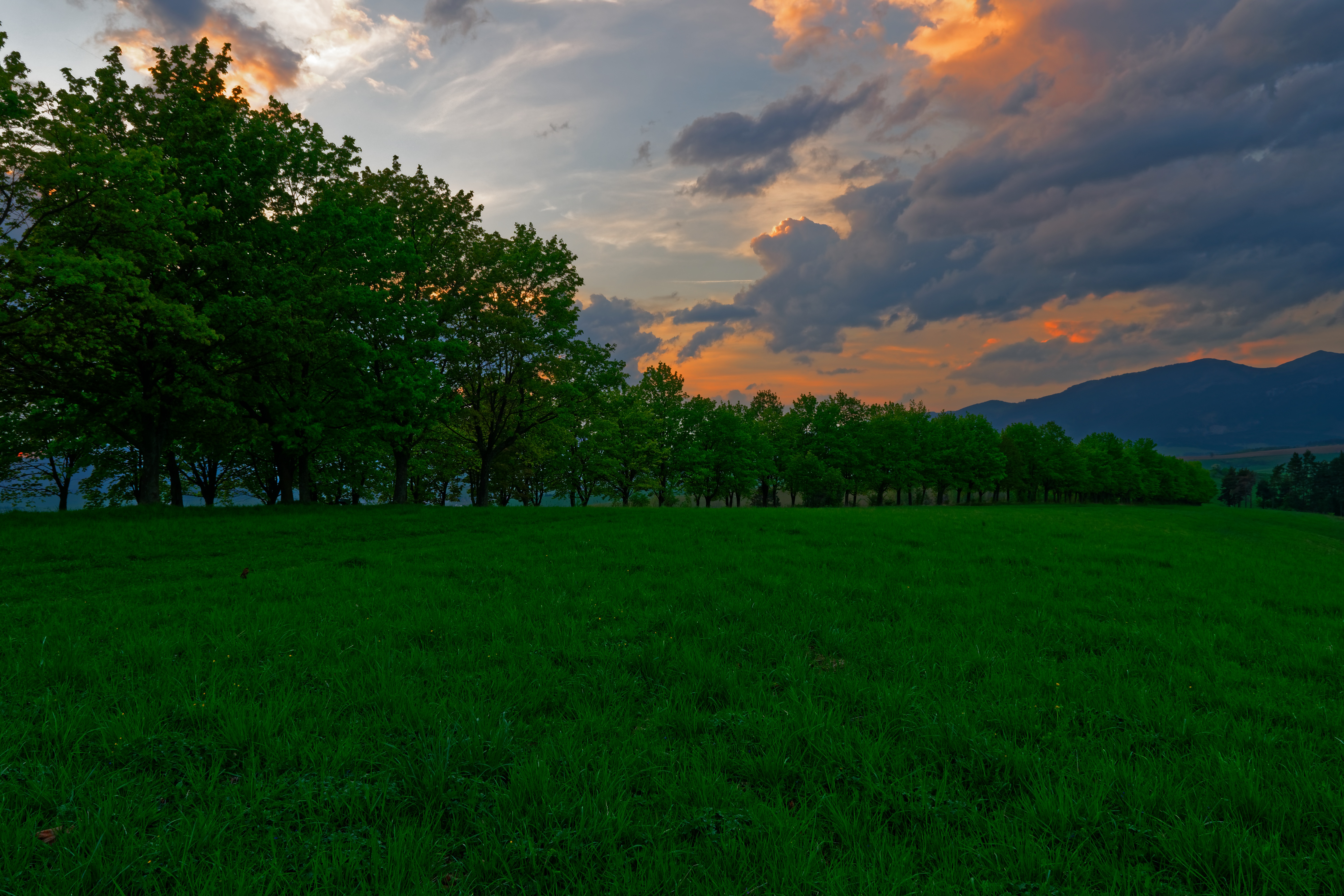 Download mobile wallpaper Trees, Grass, Meadow, Sunset, Nature for free.