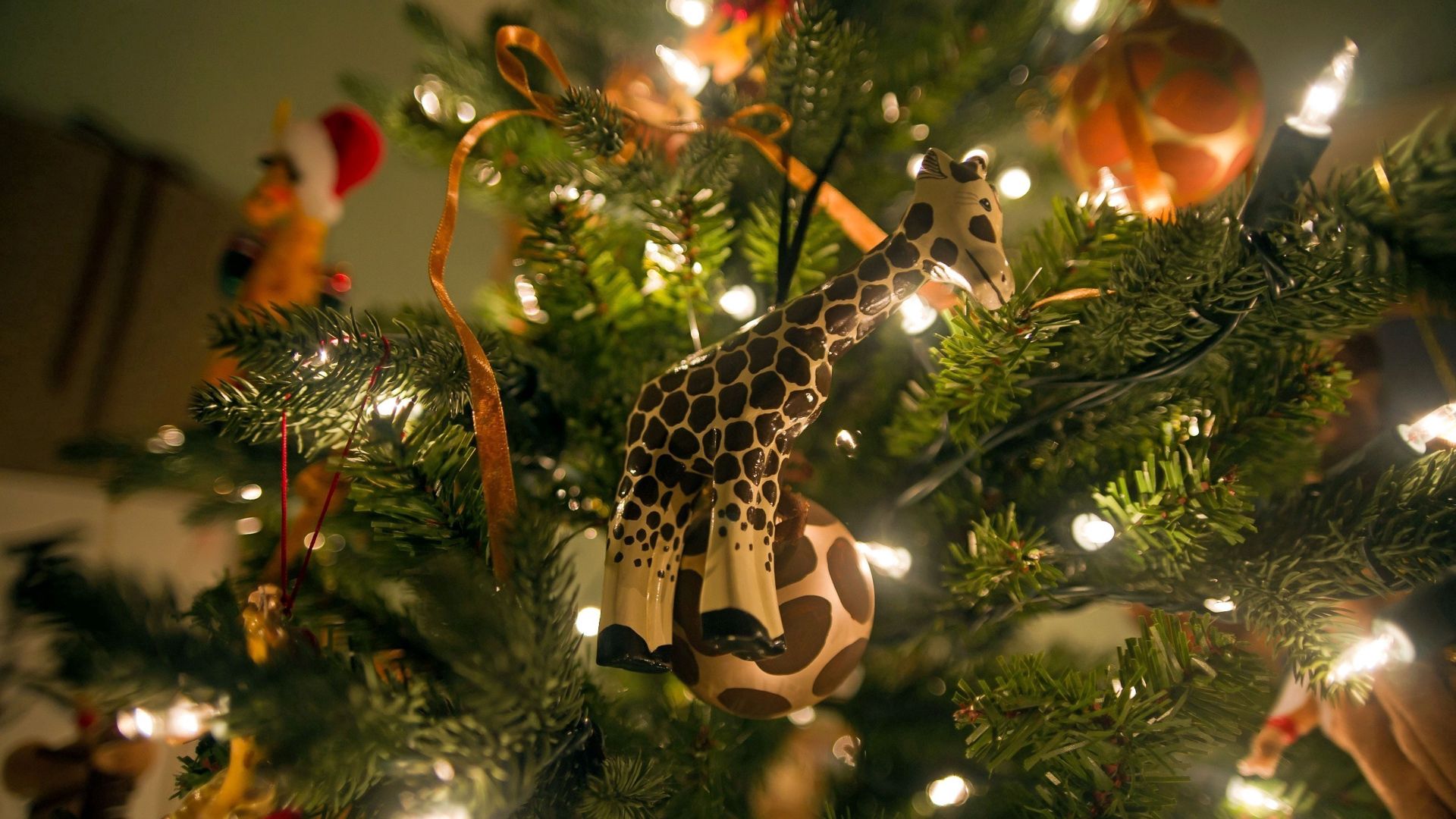 免费下载假期, 新年, 礼品, 圣诞树, 礼物, 长颈鹿手机壁纸。