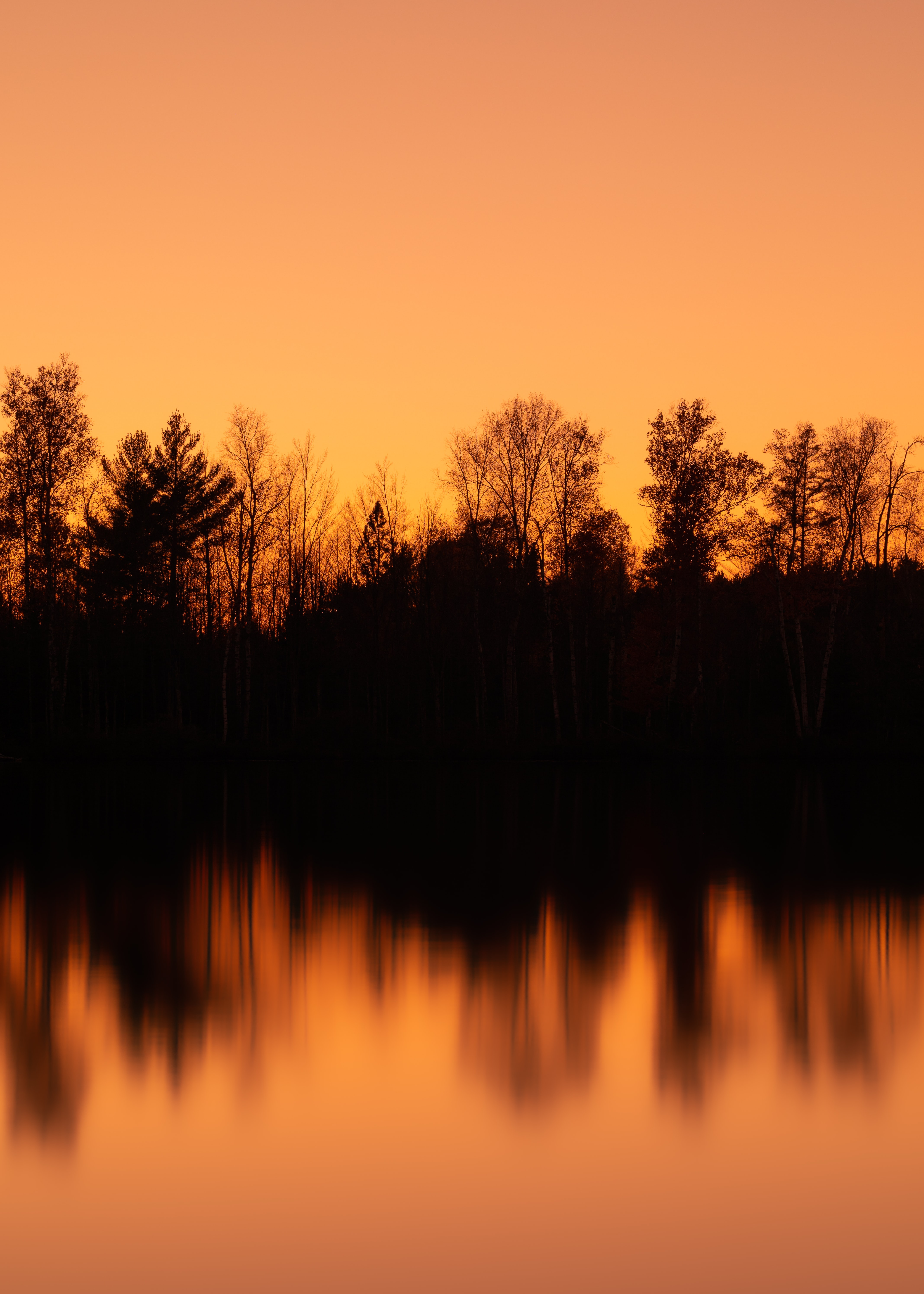Laden Sie das Bäume, Reflexion, Dämmerung, Twilight, Natur, Sunset, Wasser-Bild kostenlos auf Ihren PC-Desktop herunter