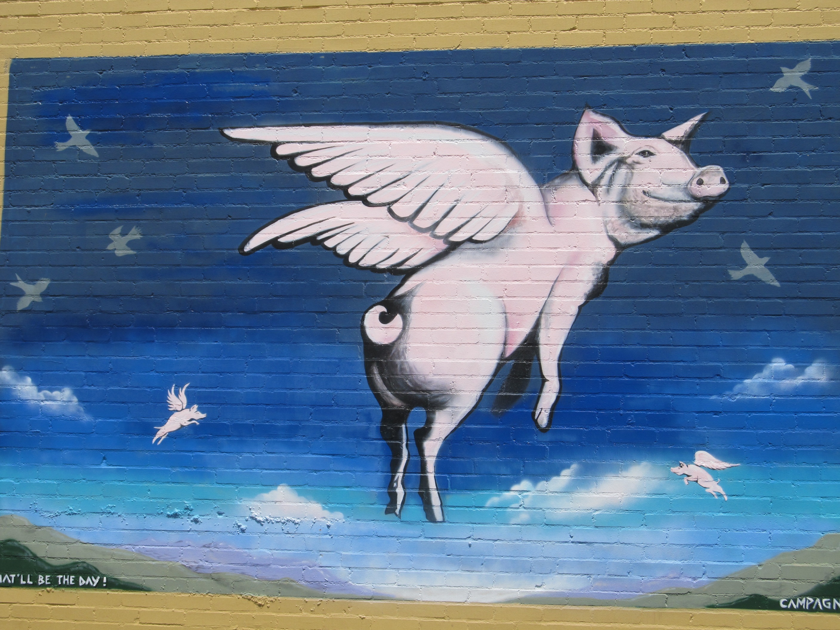 Свинья с крыльями рисунок