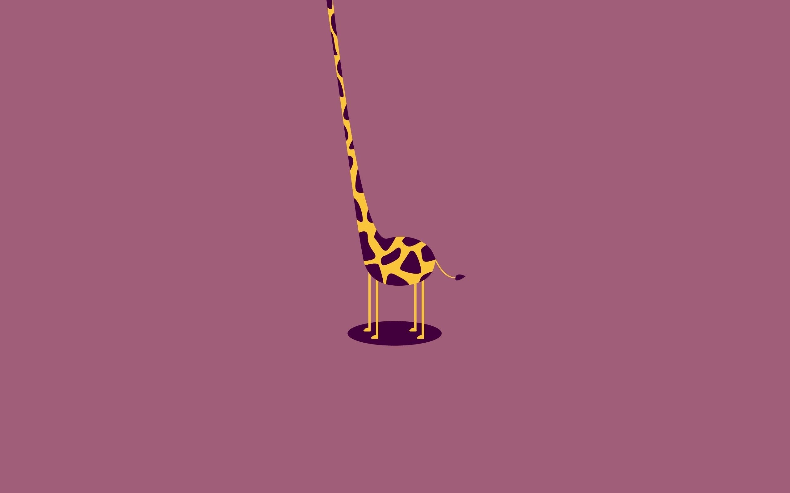 63617 скачать обои жираф, вектор, шея, туловище, безголовый - заставки и картинки бесплатно