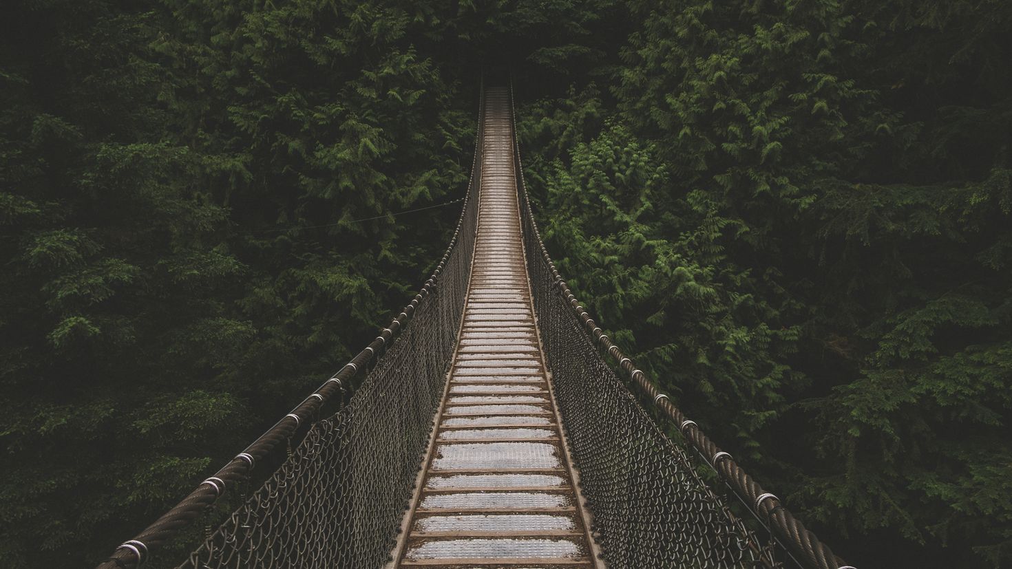 Деревянный мост над пропастью