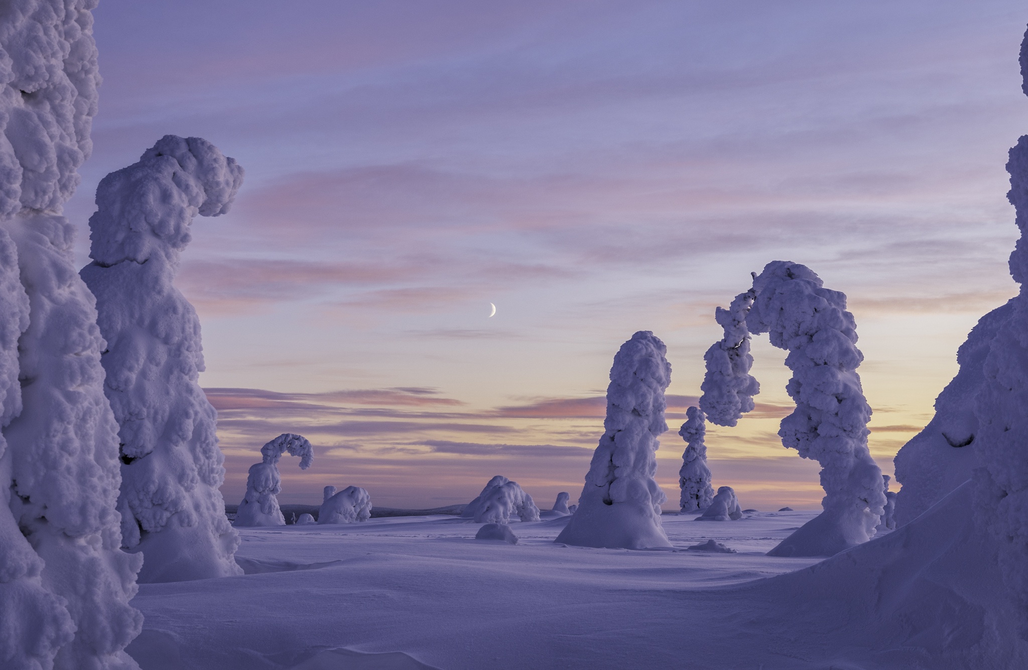1008828 baixar papel de parede terra/natureza, inverno, finlândia, paisagem, natureza, neve - protetores de tela e imagens gratuitamente