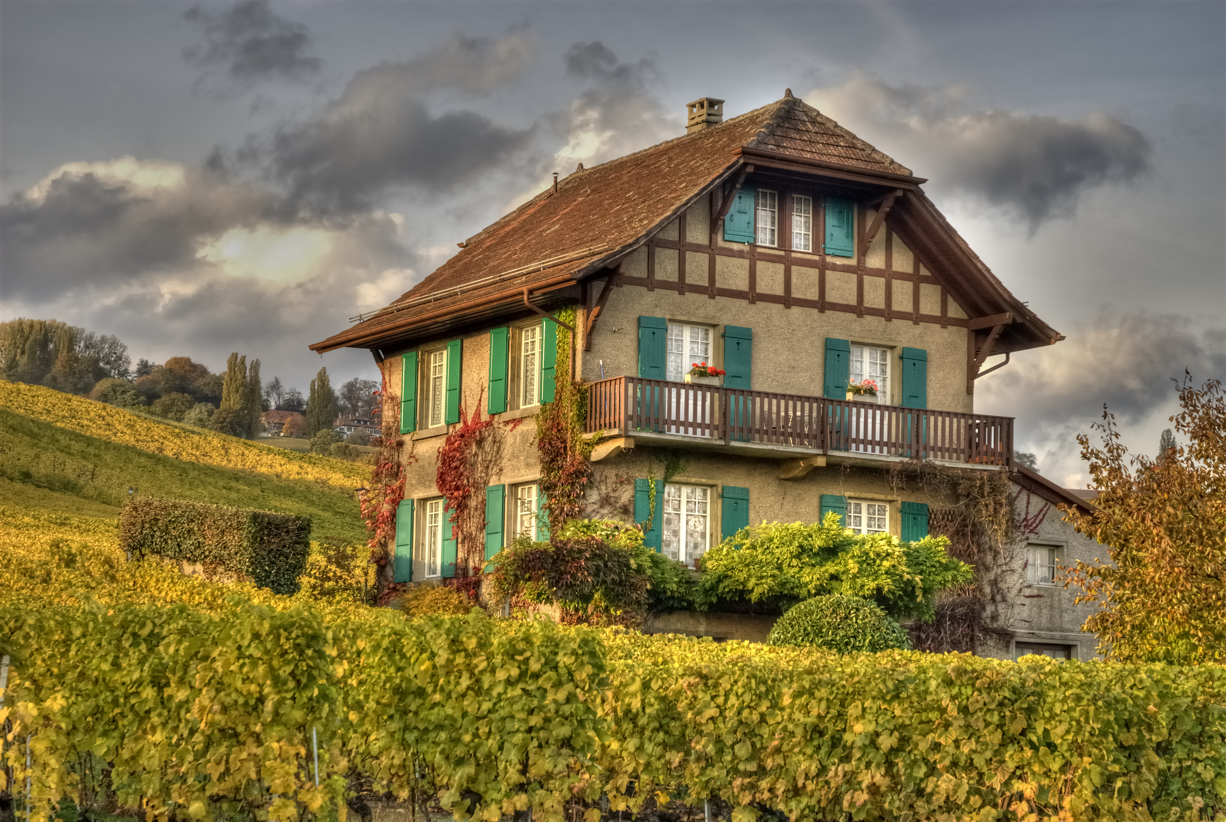man made, house, country, field, vineyard