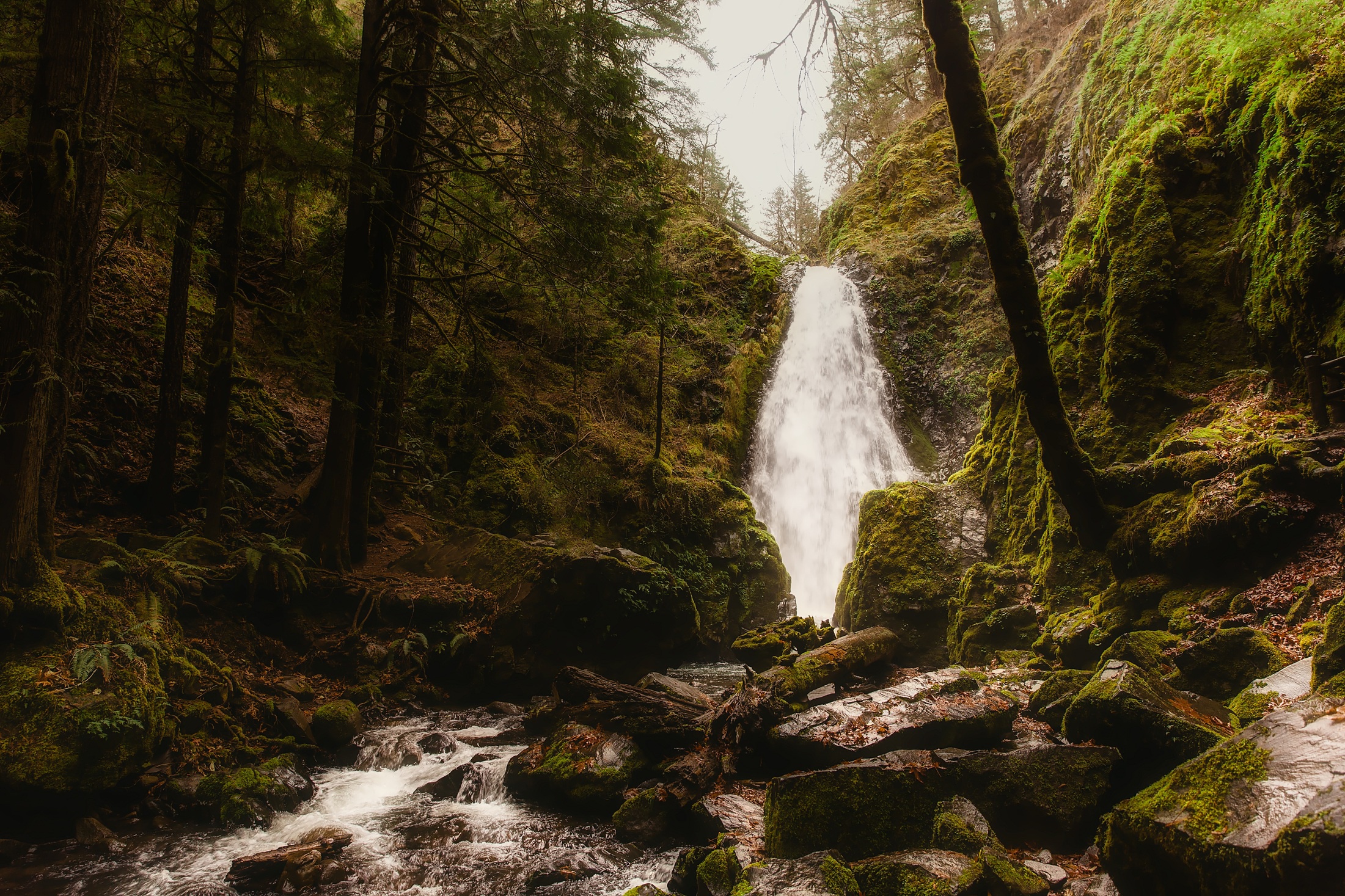 Водопад прокси, Орегон