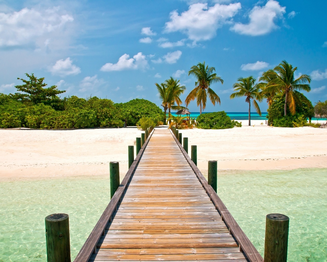 beach, bridges, landscape, palms, summer Smartphone Background
