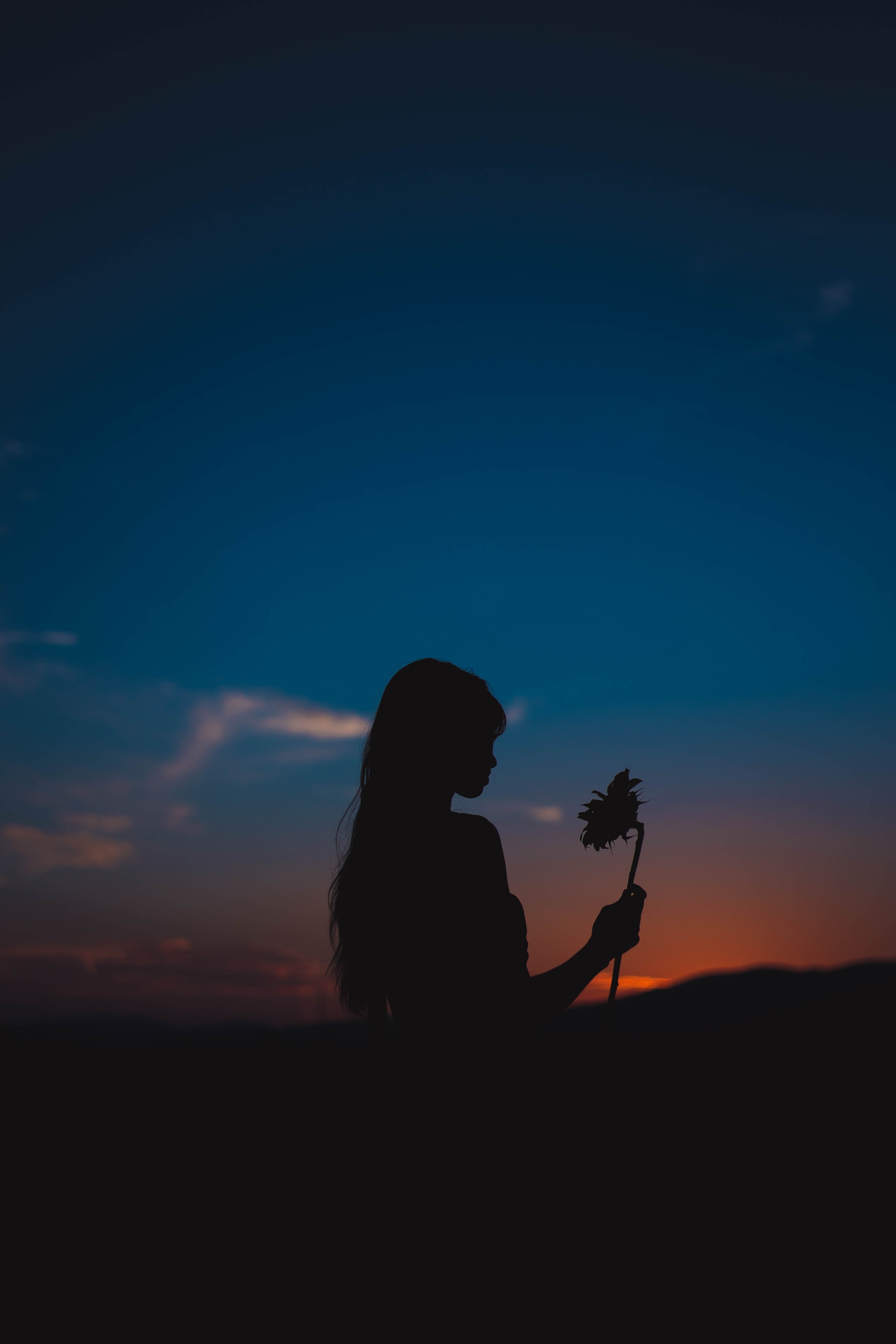 vertical wallpaper girl, sunflower, dark, sunset, flower, silhouette